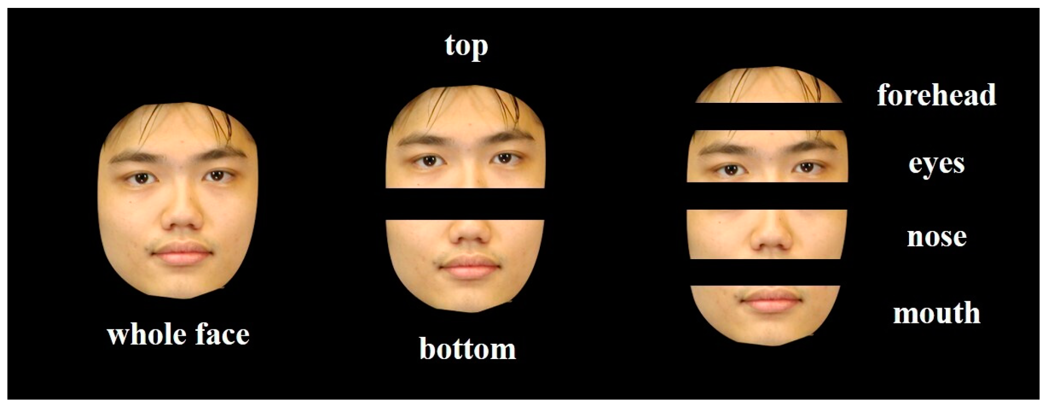 Behavsci 15 00141 g001