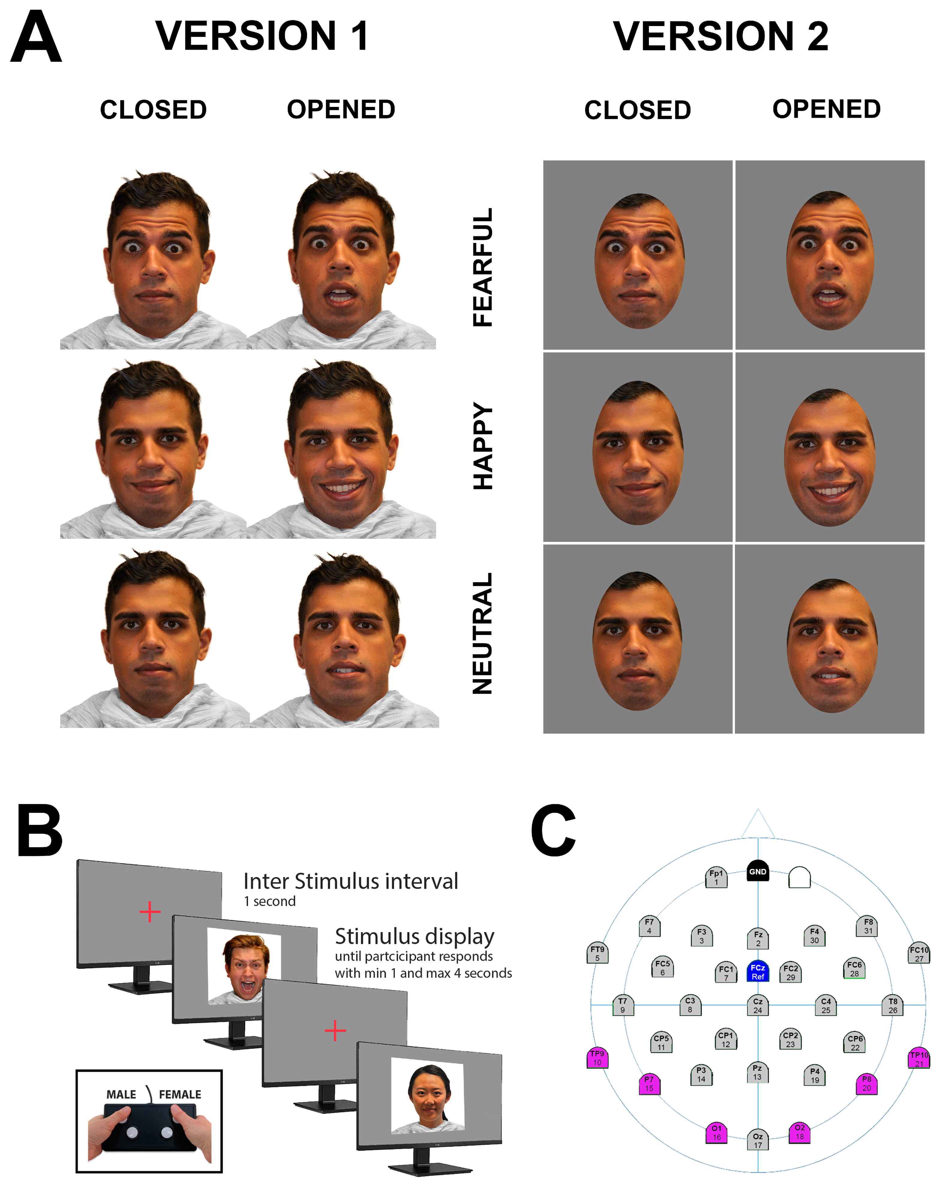 Behavsci 15 00163 g001 Behavsci 15 00163 g001