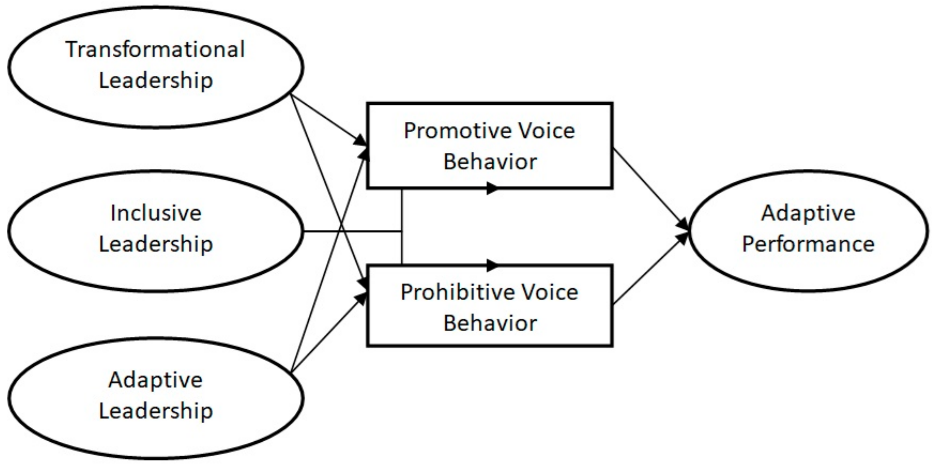 Behavsci 15 00171 g001