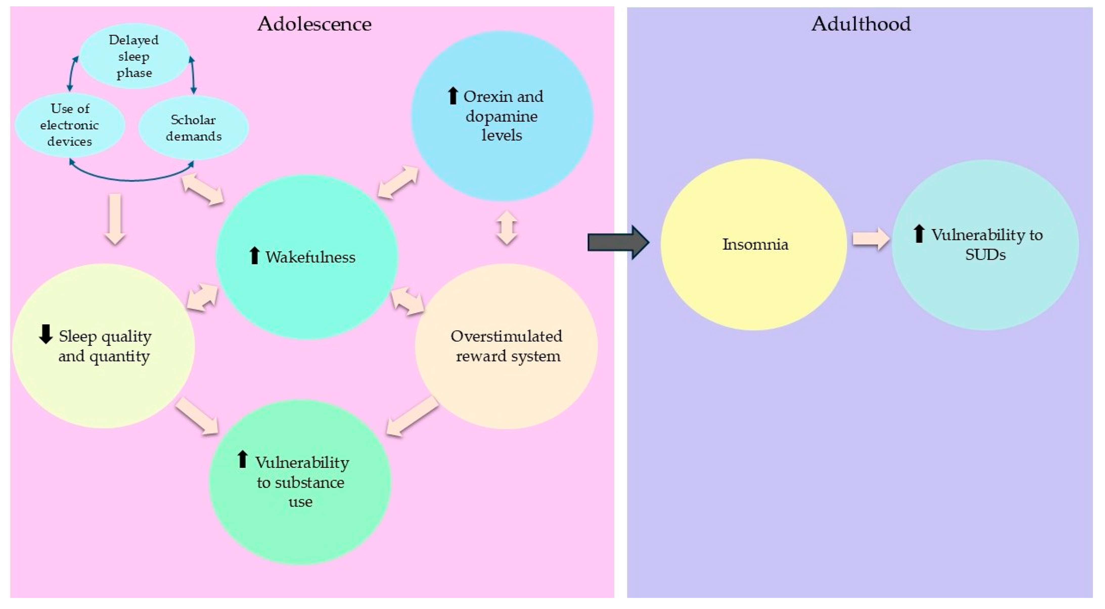 Behavsci 15 00220 g001