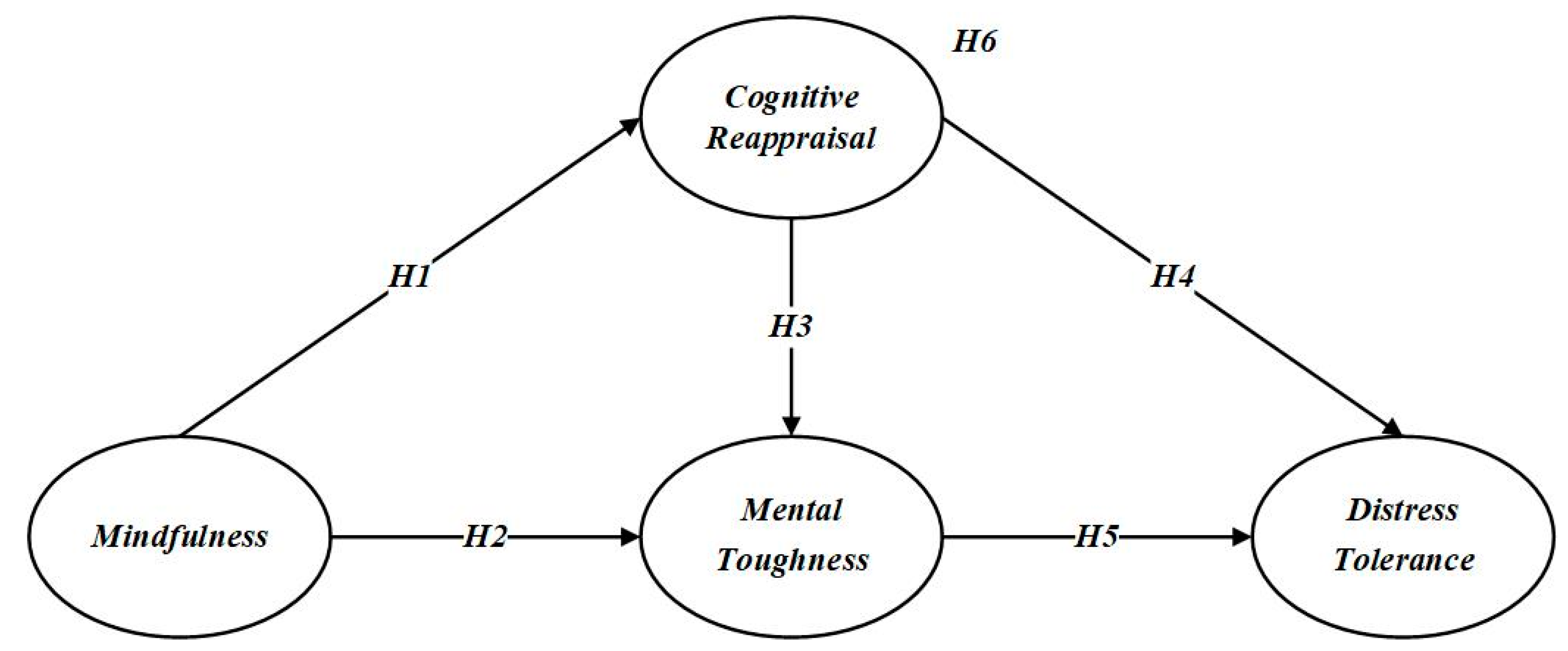 Behavsci 15 00298 g001