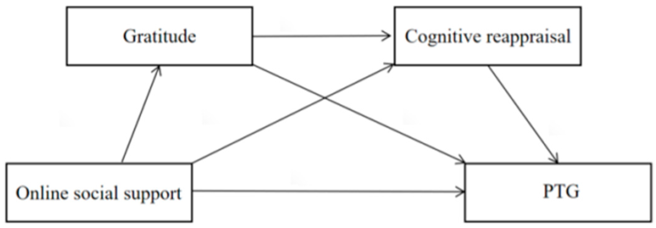 Behavsci 15 00335 g001