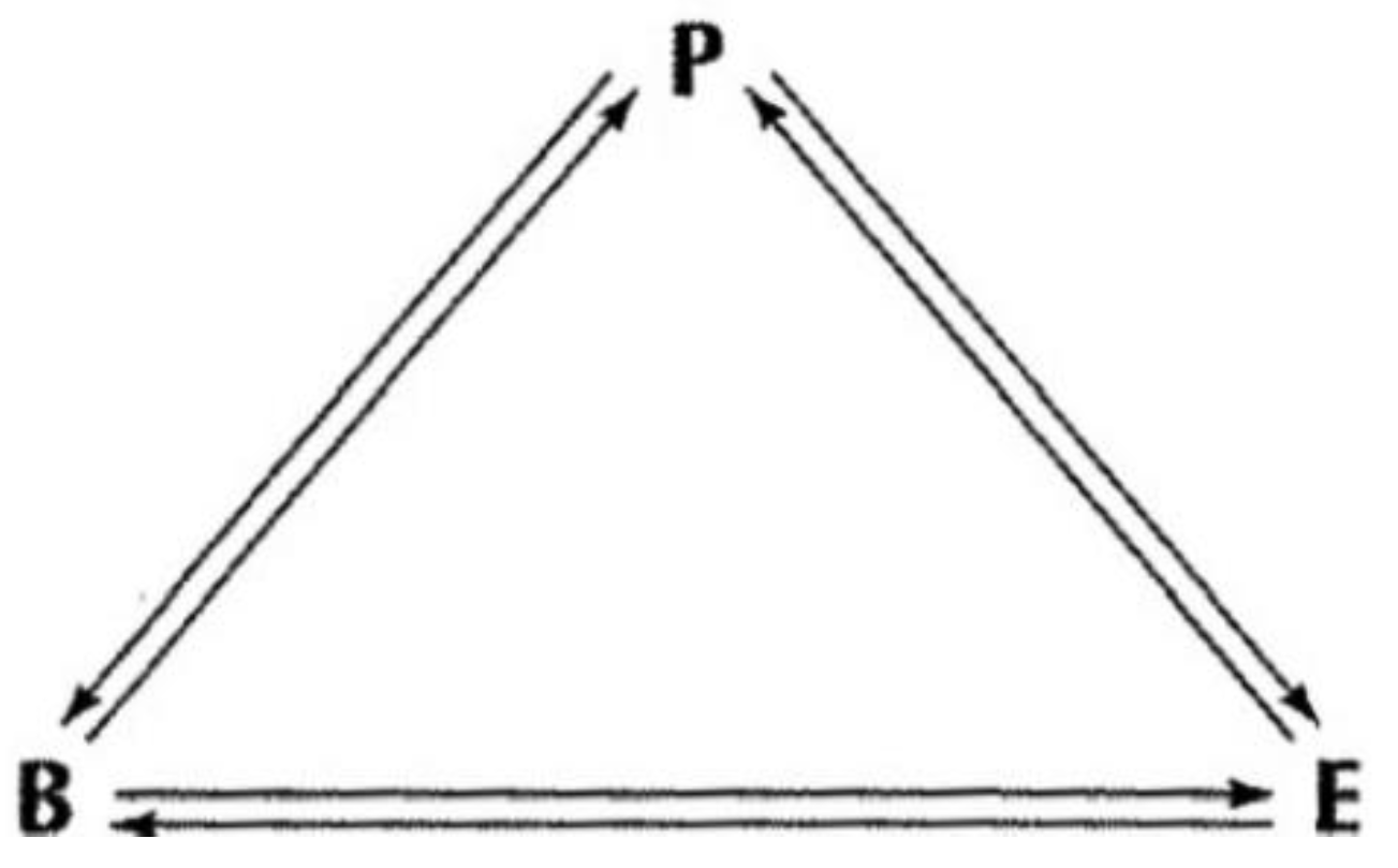 Behavsci 15 00366 g001