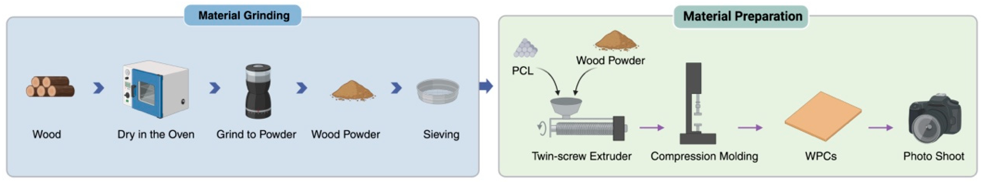 Behavsci 15 00383 g0a1