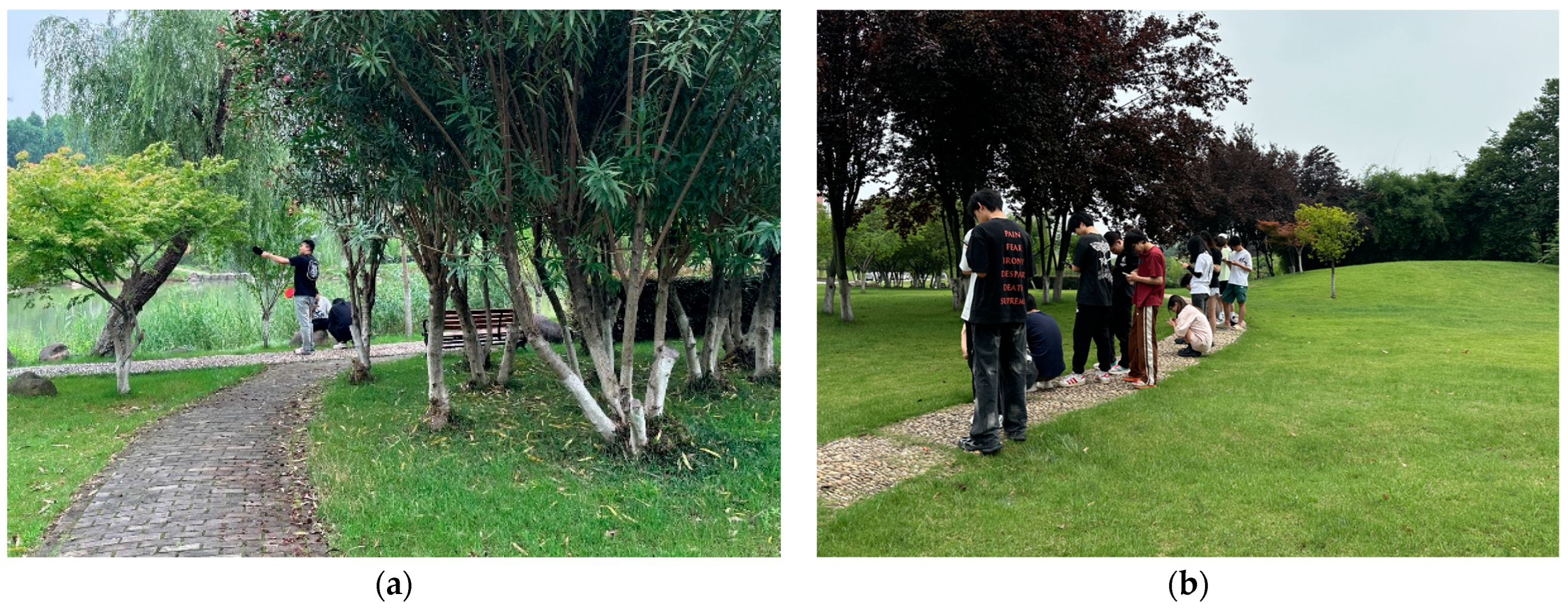 Behavsci 15 00470 g006