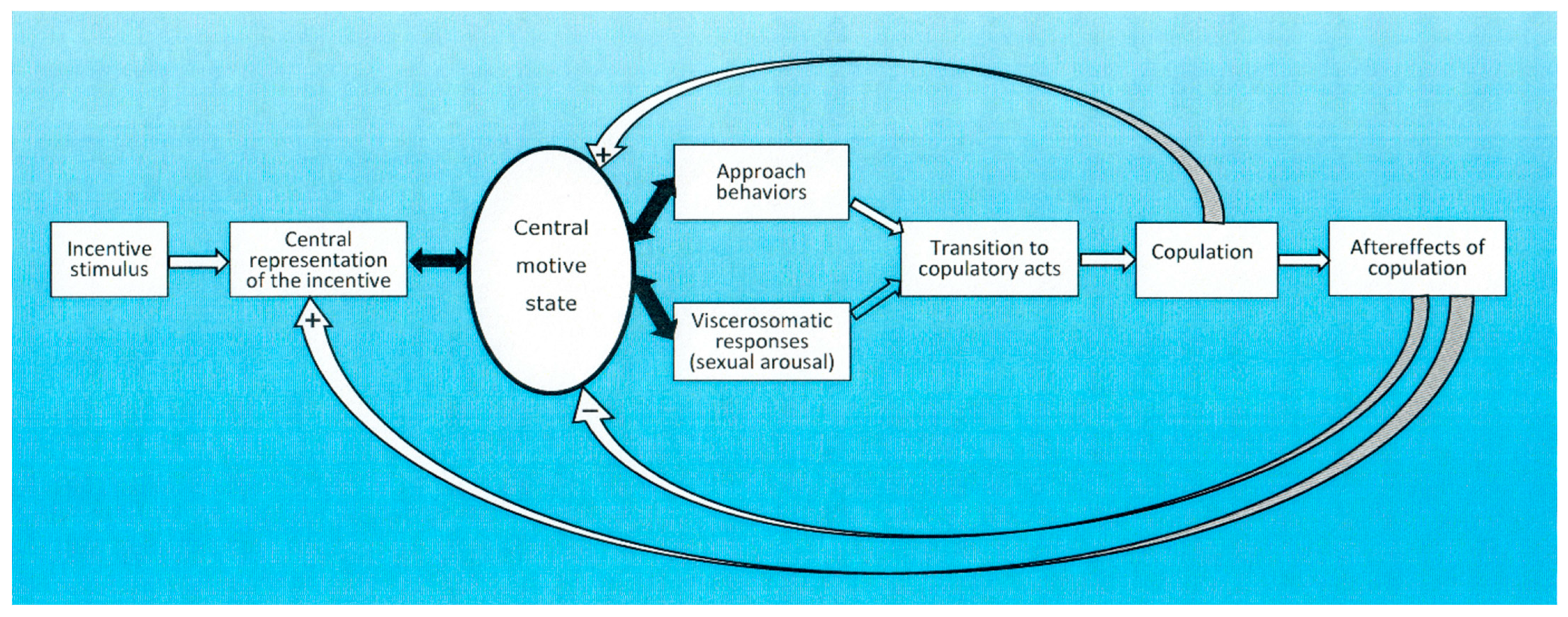 Behavsci 15 00642 g001