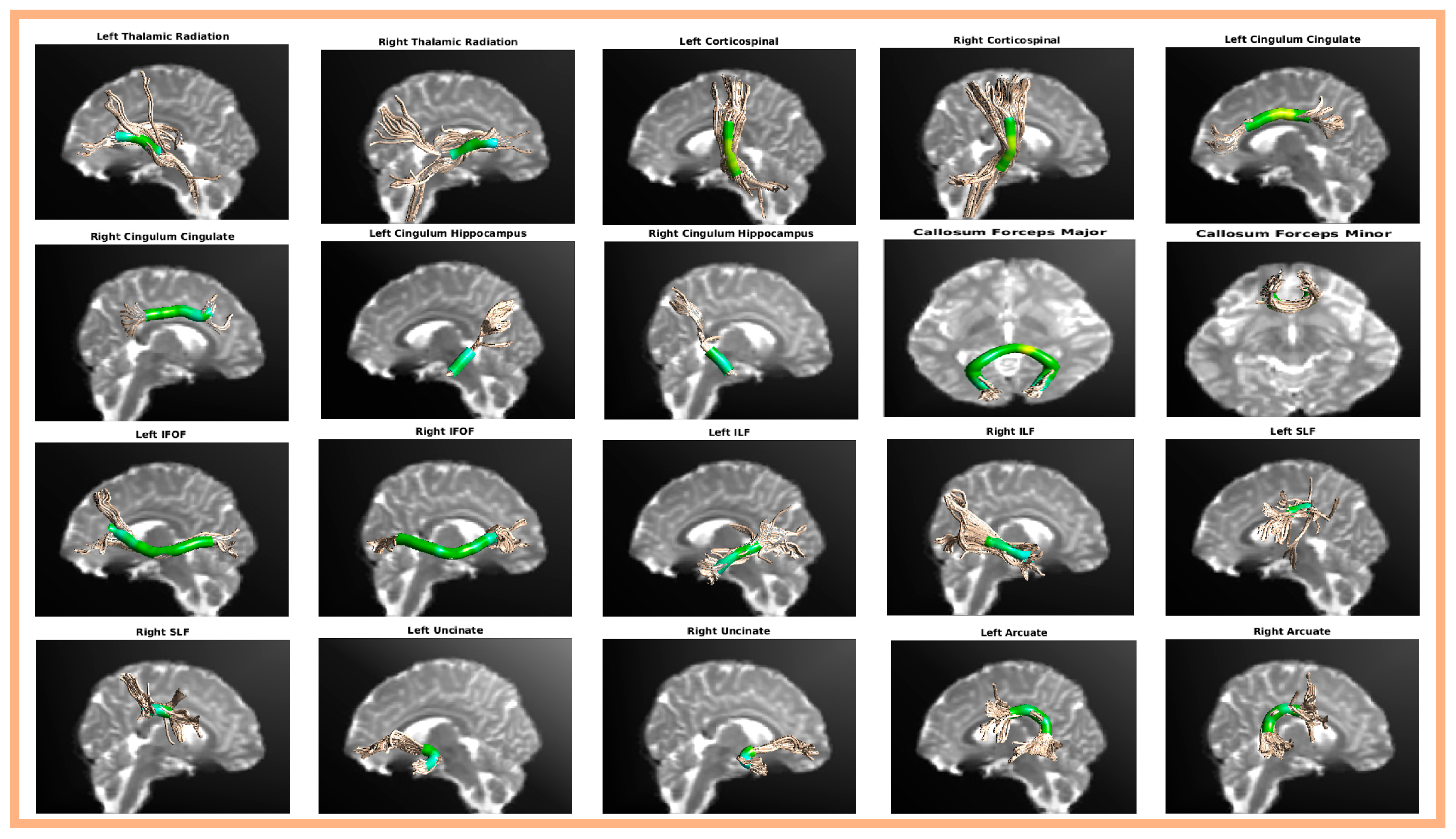 Behavsci 15 00746 g001