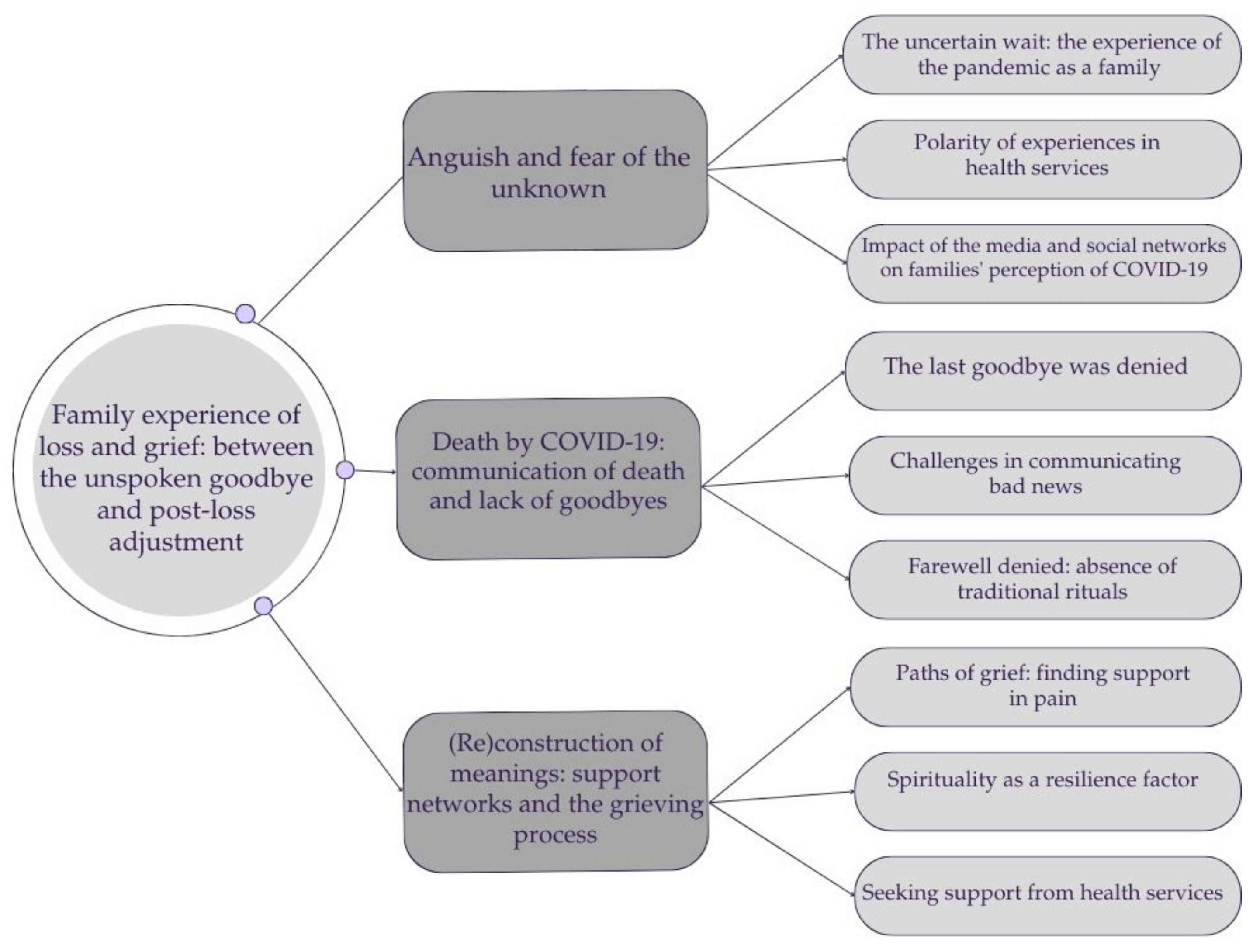 Behavsci 15 00829 g001