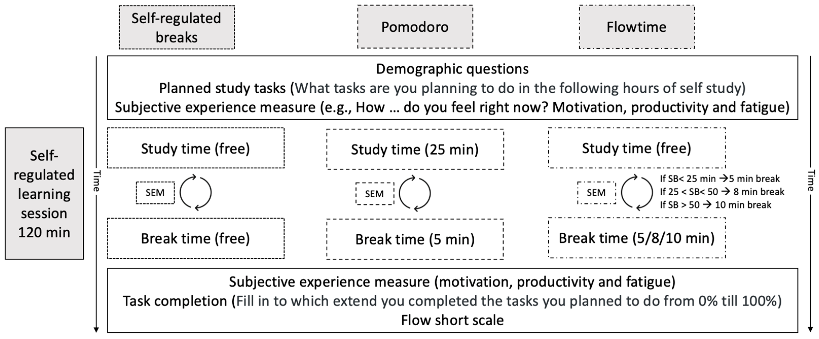 Behavsci 15 00861 g001