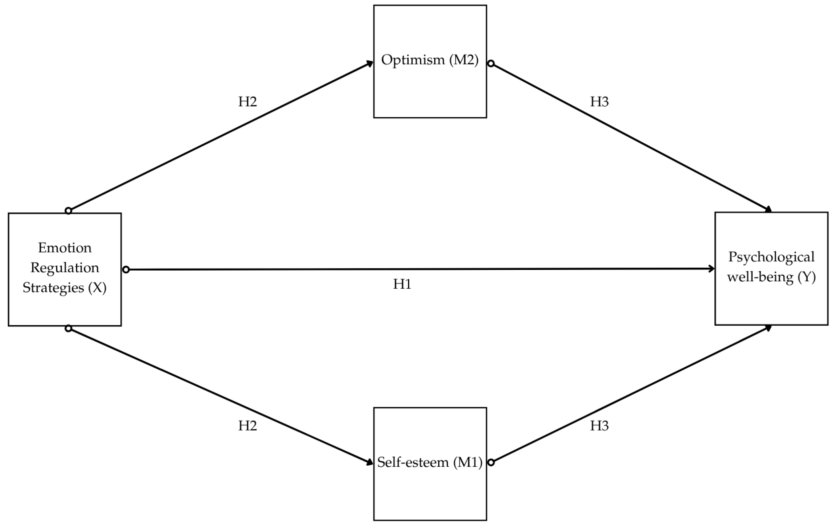 Behavsci 15 00929 g001