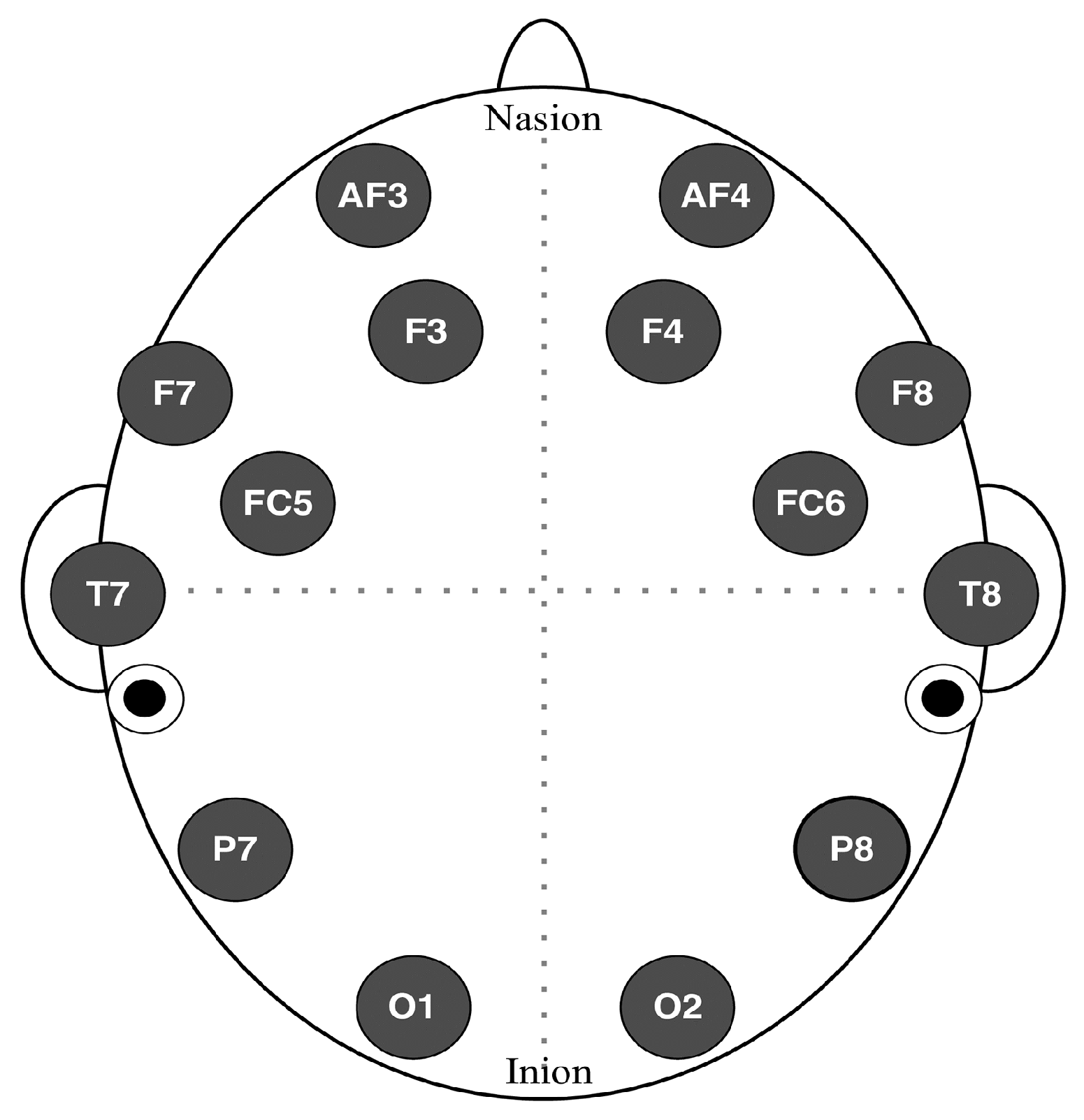 Behavsci 15 01043 g001