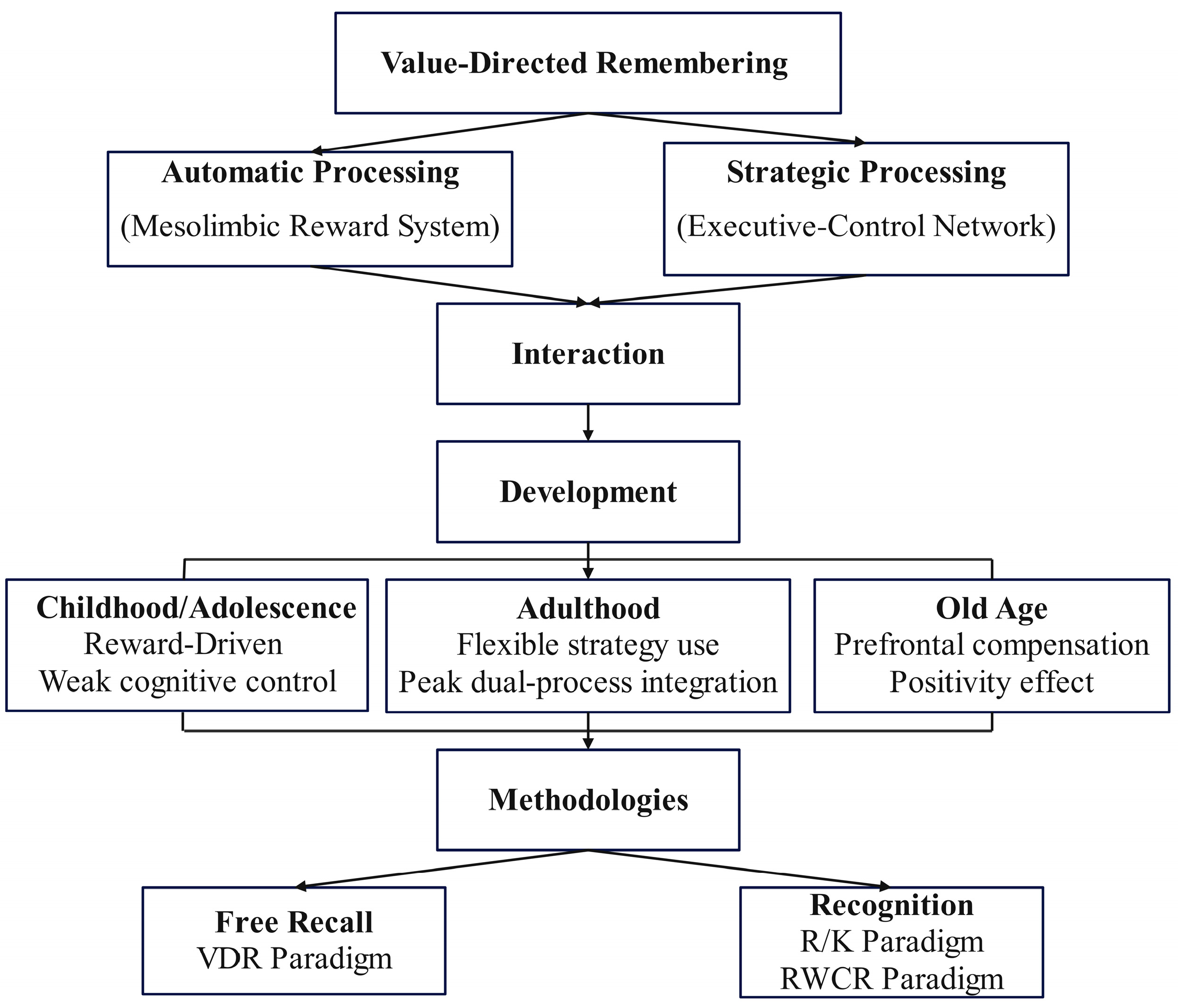 Behavsci 15 01113 g001 Behavsci 15 01113 g001