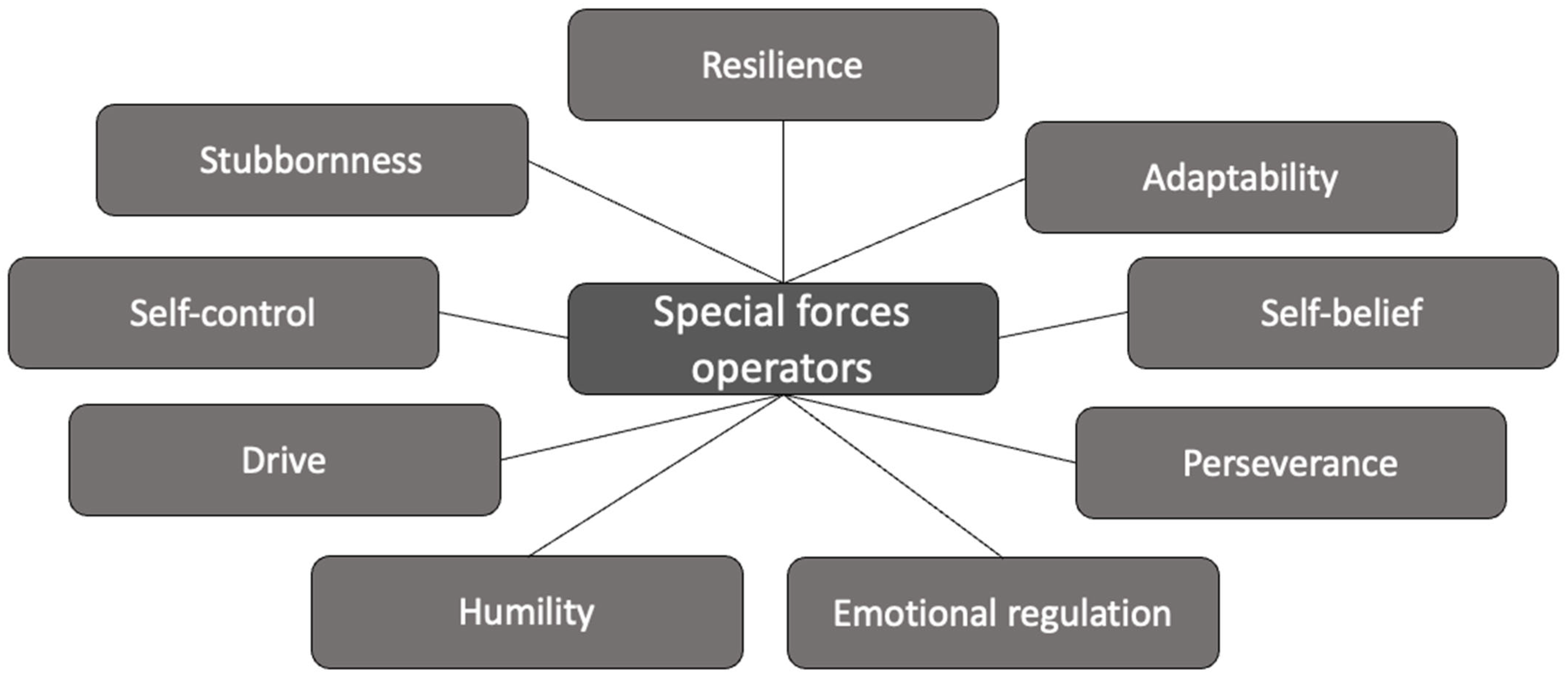 Behavsci 15 01194 g001