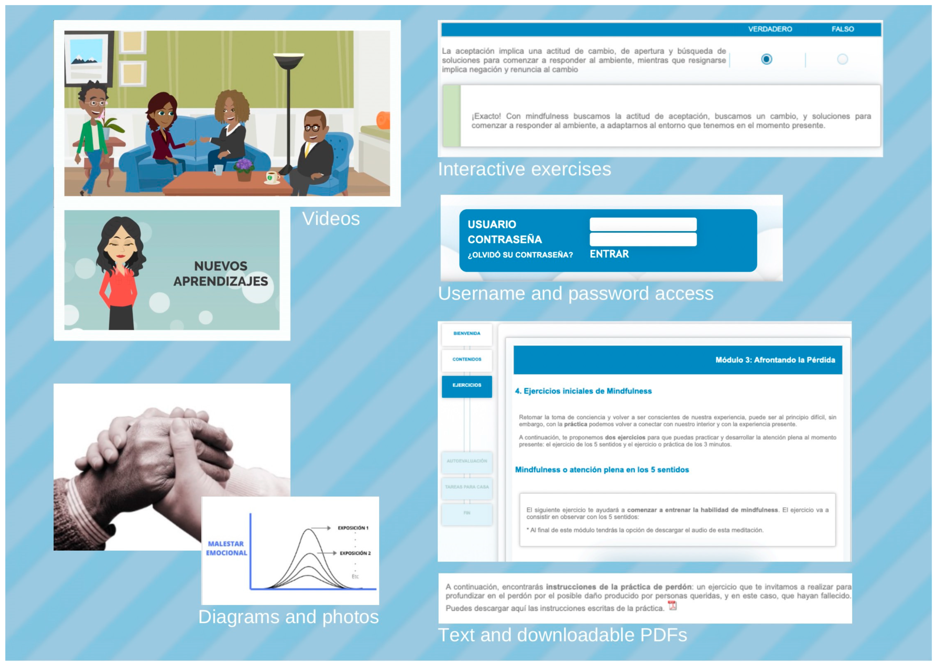 Behavsci 15 01312 g001 Behavsci 15 01312 g001