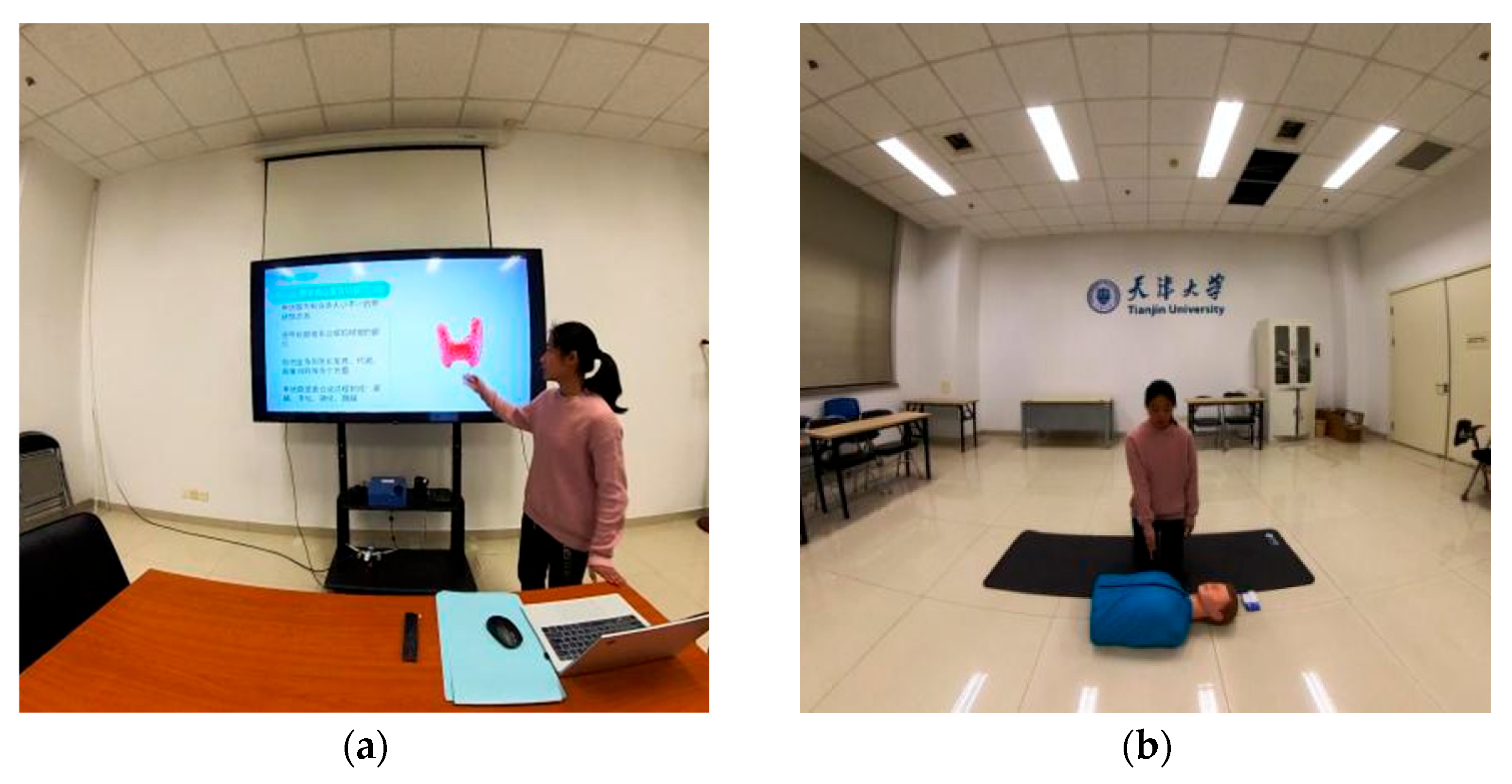 Behavsci 15 01322 g001