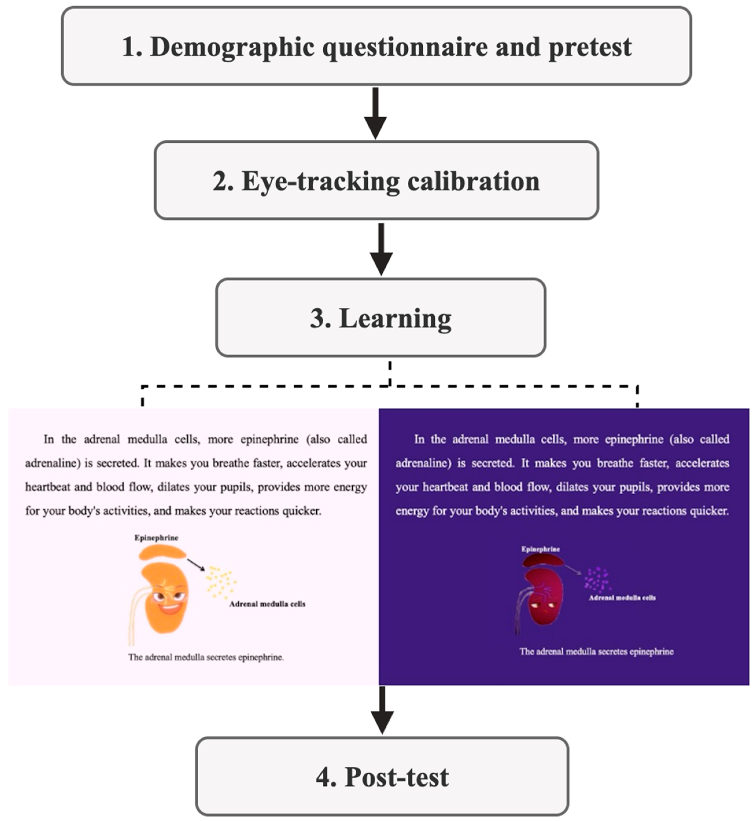 Behavsci 15 01330 g003 Behavsci 15 01330 g003