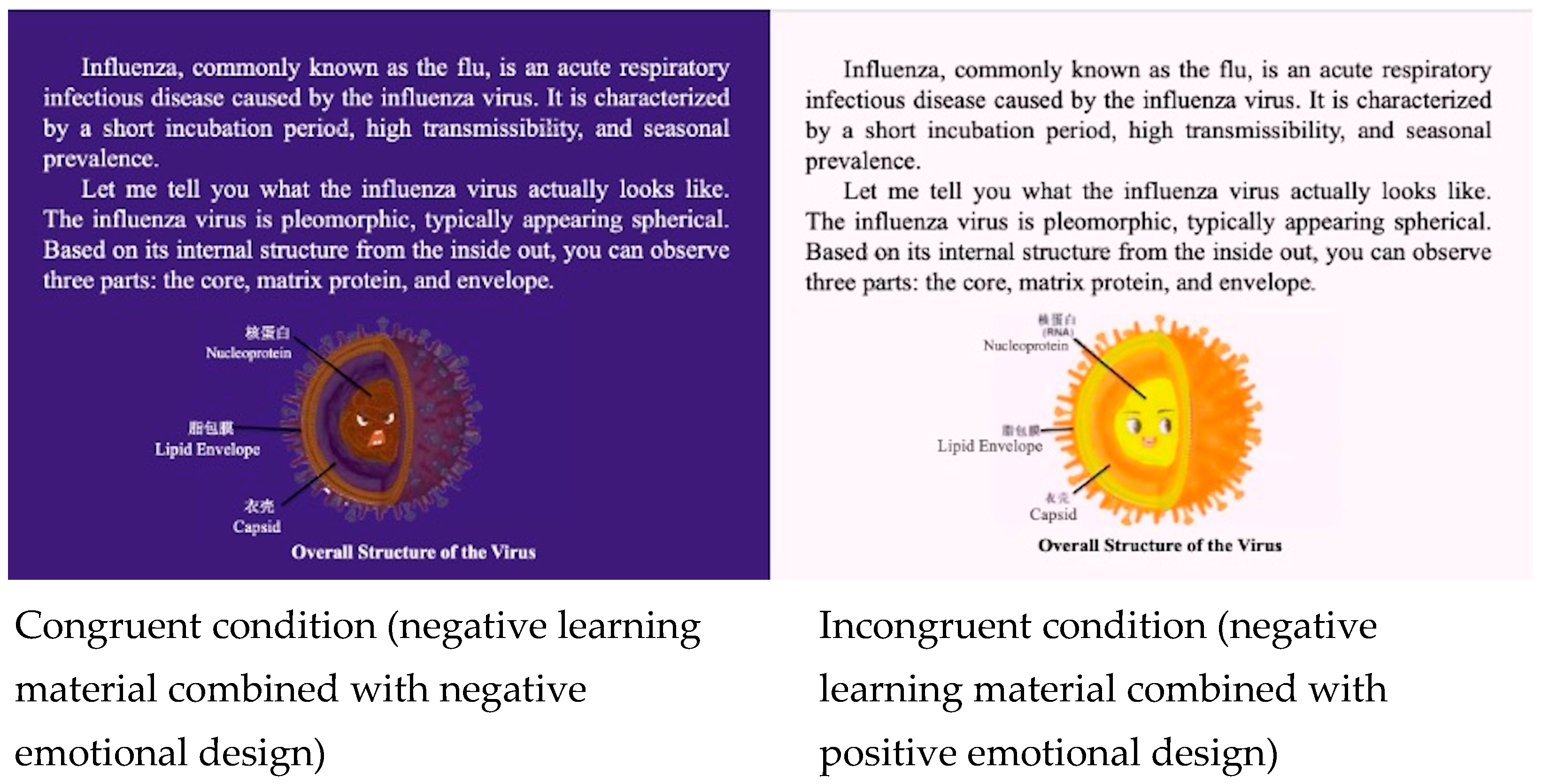 Behavsci 15 01330 g004 Behavsci 15 01330 g004