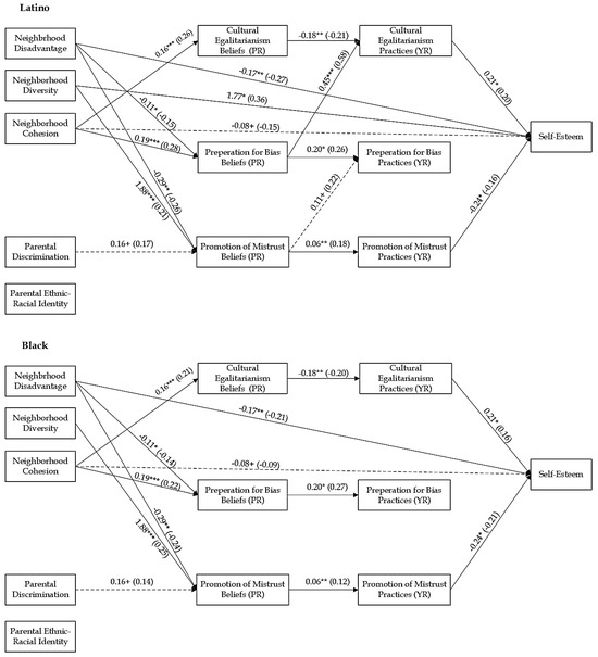 The Contextualized Impact of Ethnic-Racial Socialization on Black and ...