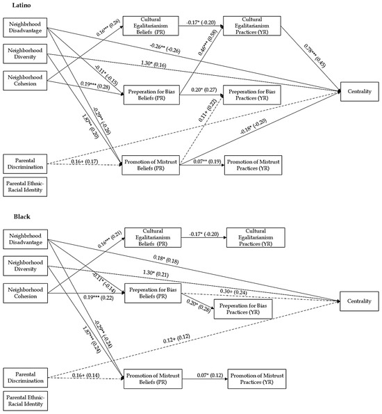 The Contextualized Impact of Ethnic-Racial Socialization on Black and ...