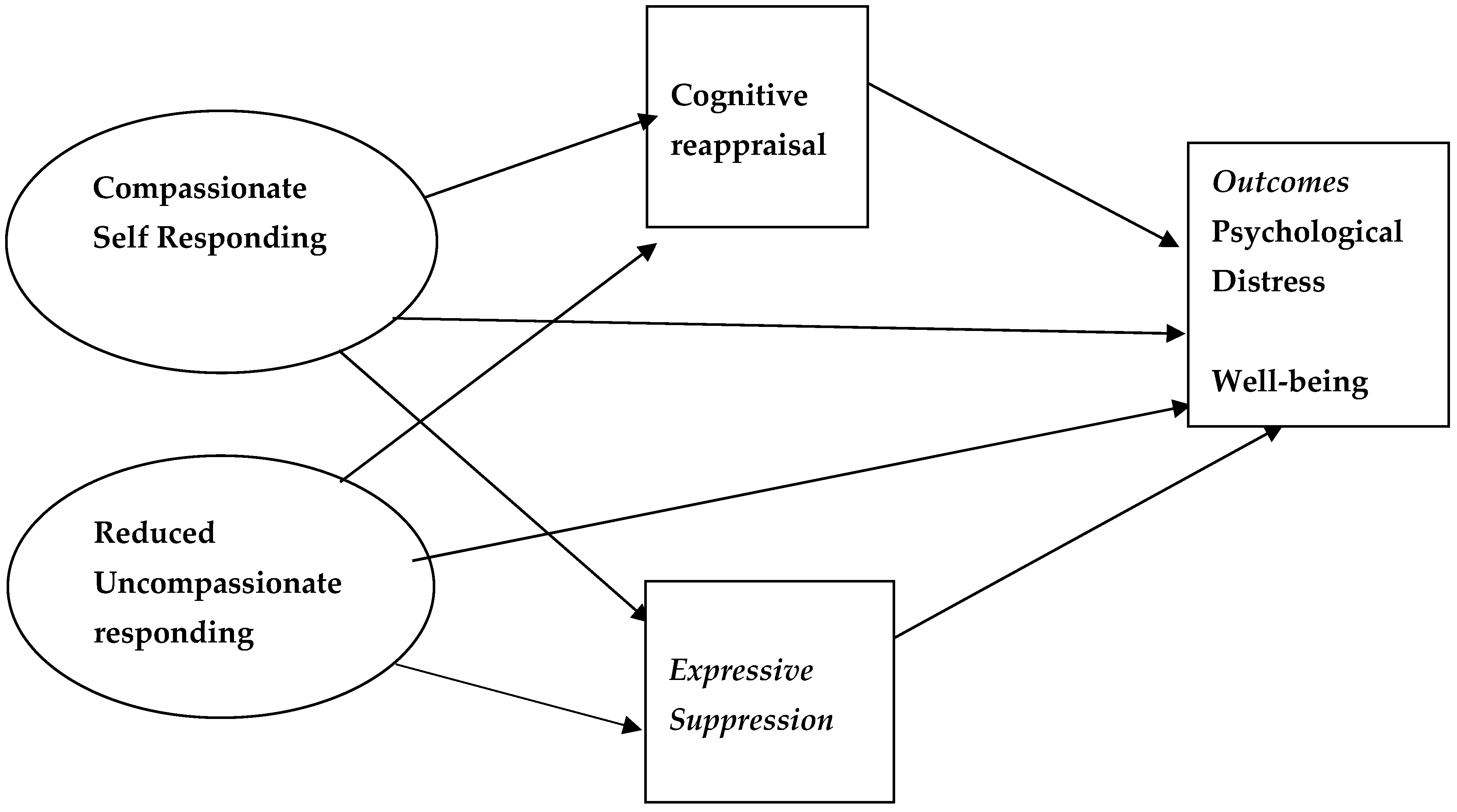 Behavsci 15 01576 g001