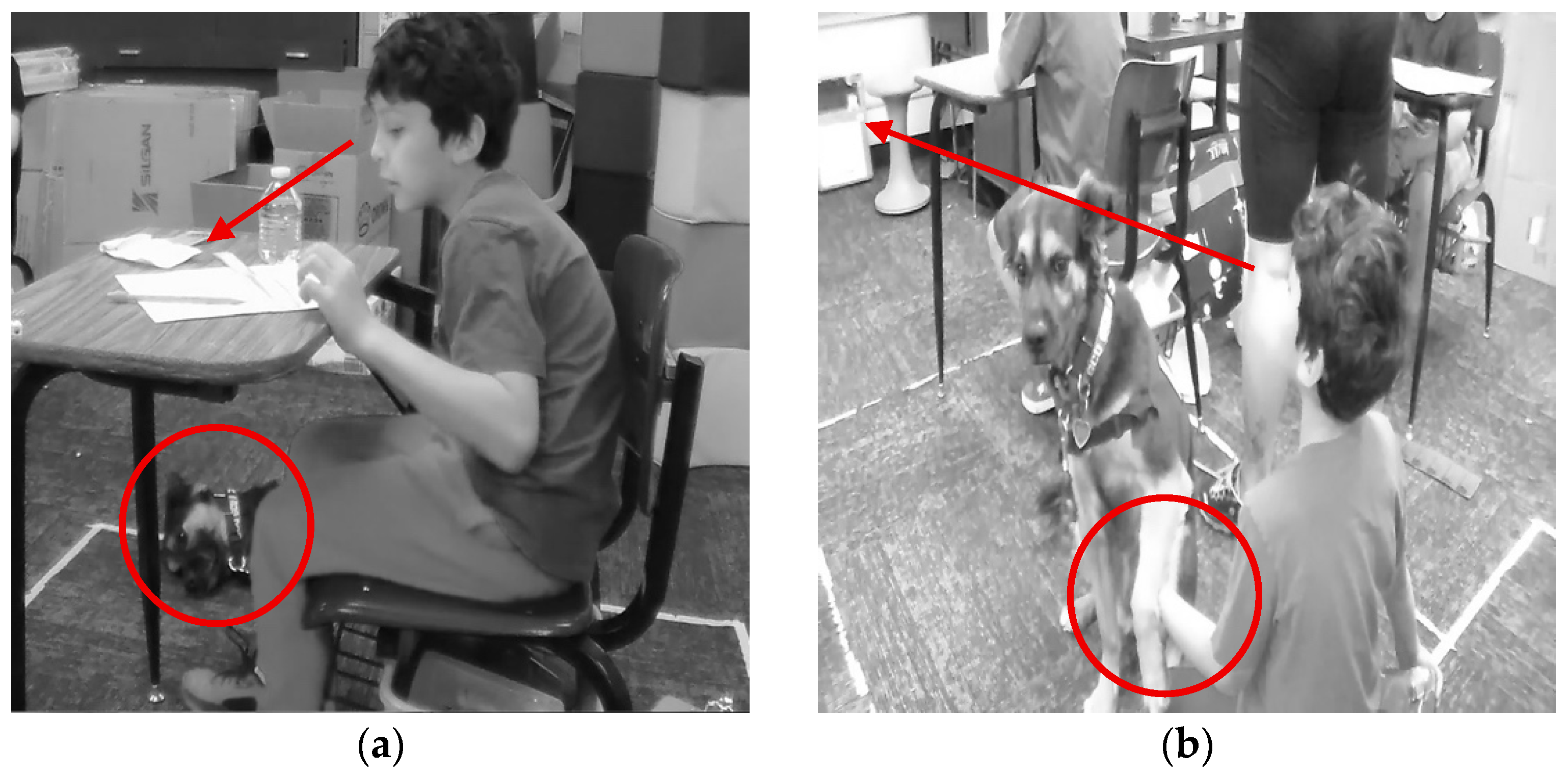 Behavsci 15 01585 g001