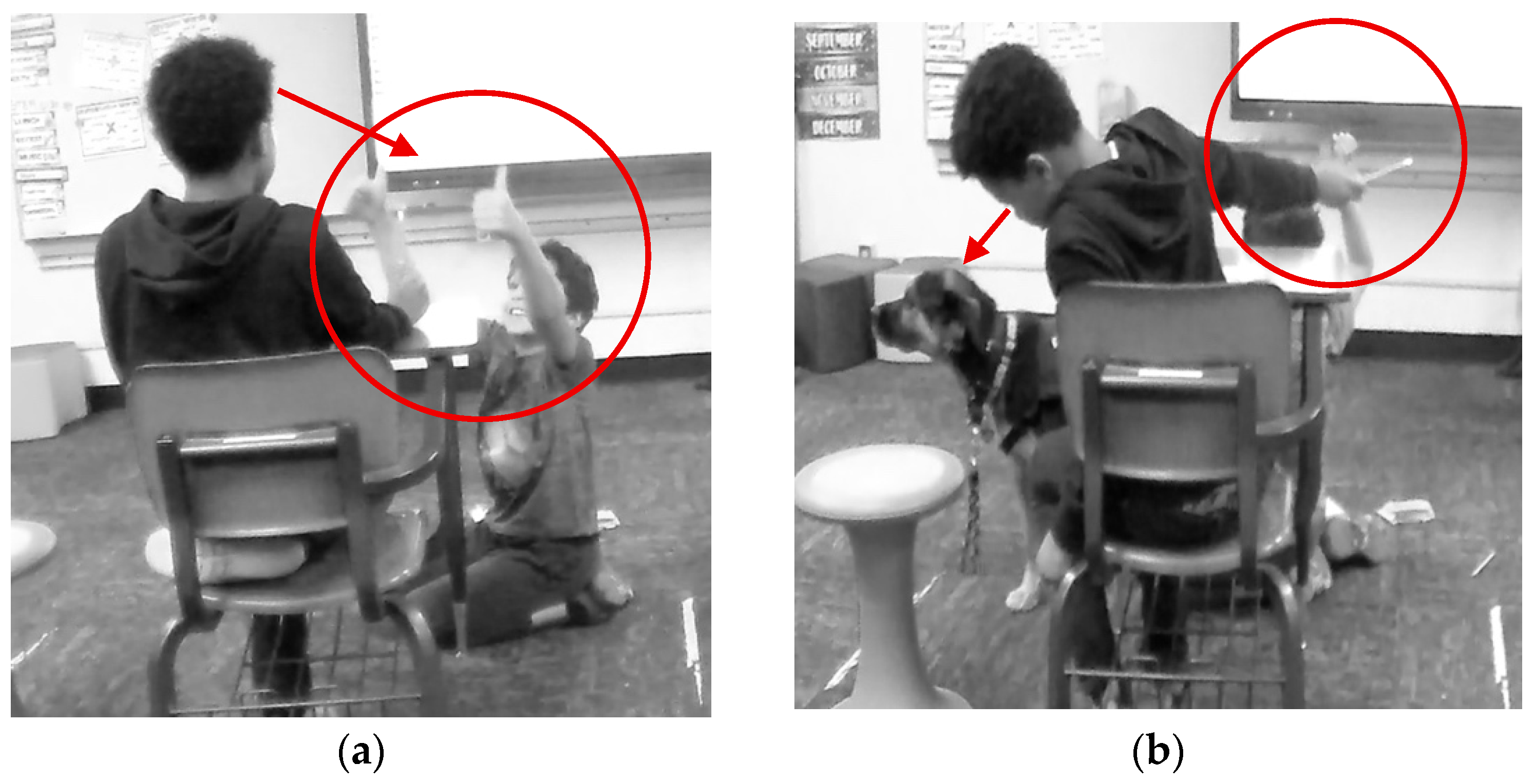 Behavsci 15 01585 g002