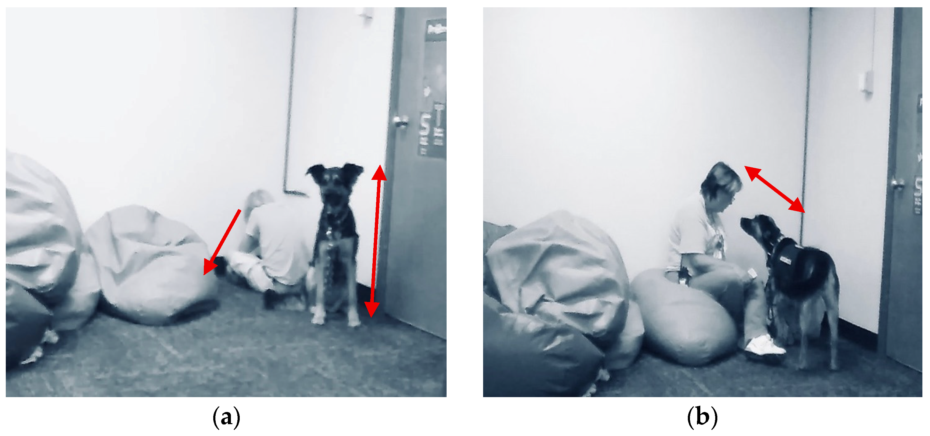 Behavsci 15 01585 g003