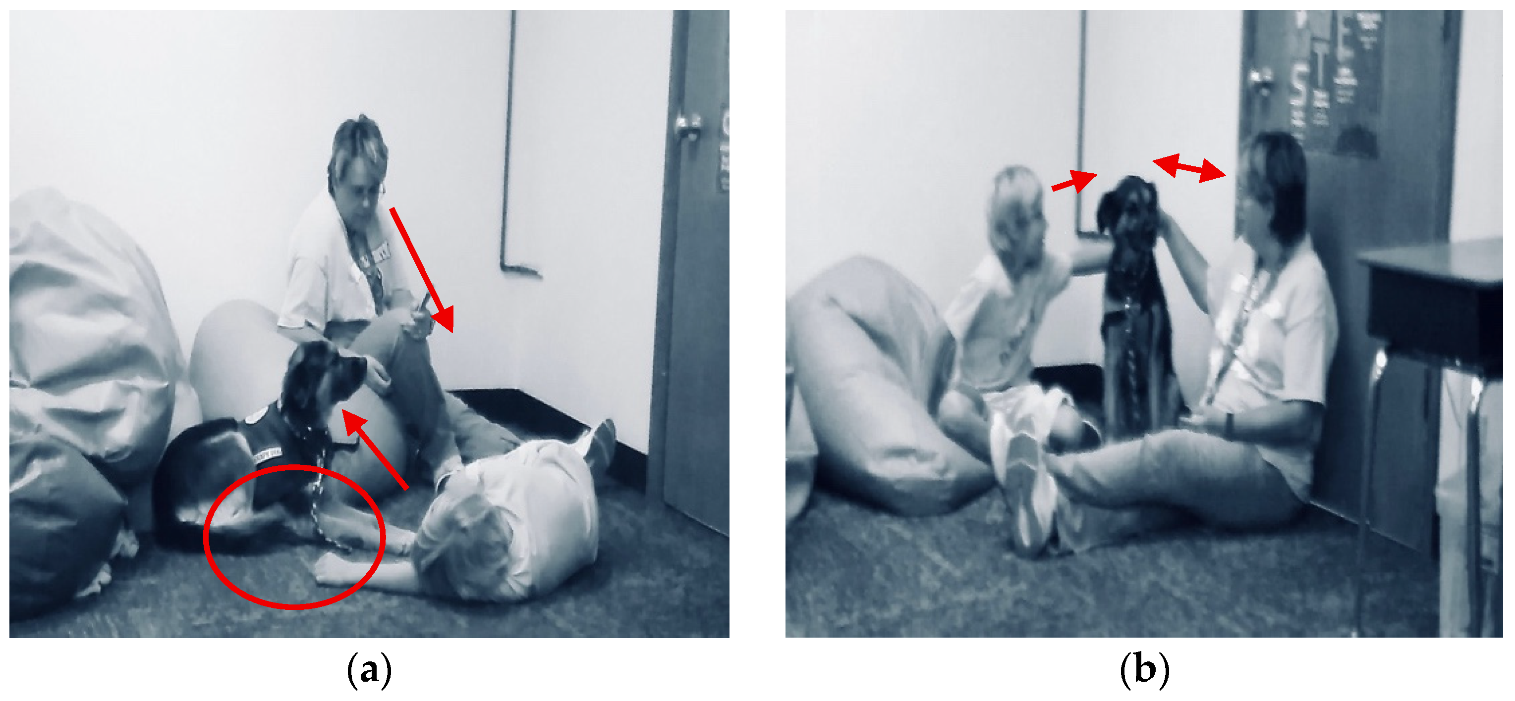 Behavsci 15 01585 g004