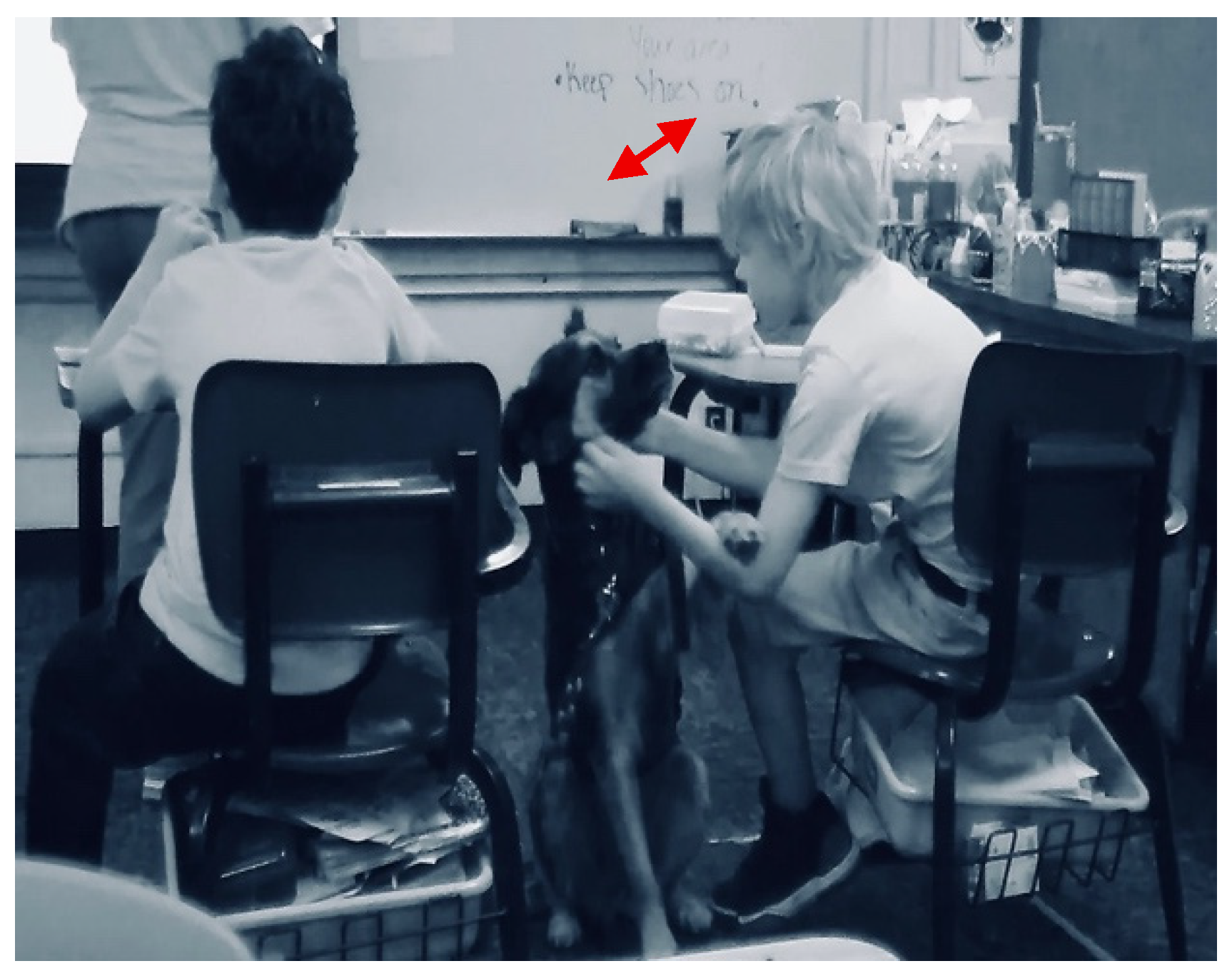 Behavsci 15 01585 g005