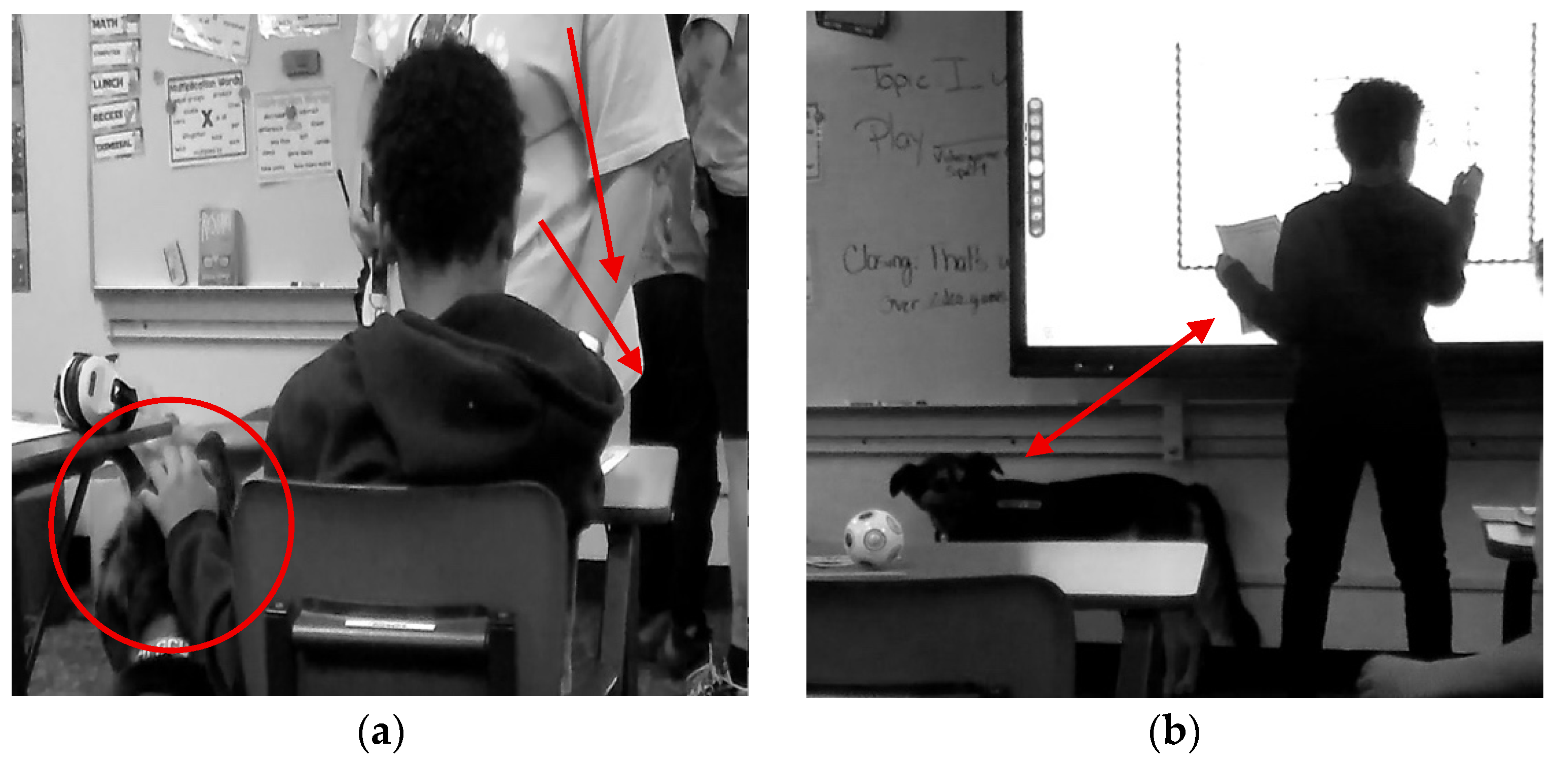 Behavsci 15 01585 g007