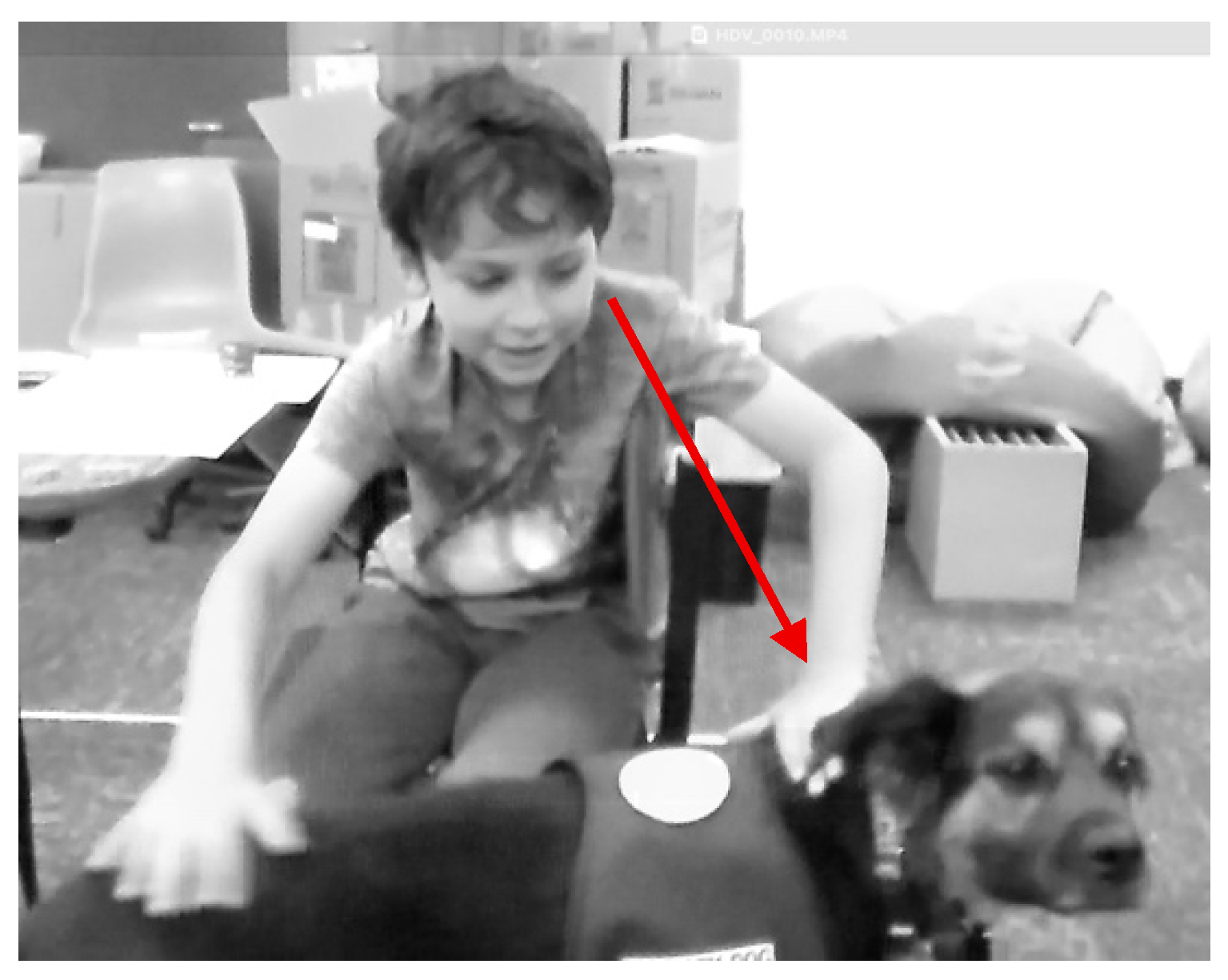 Behavsci 15 01585 g008