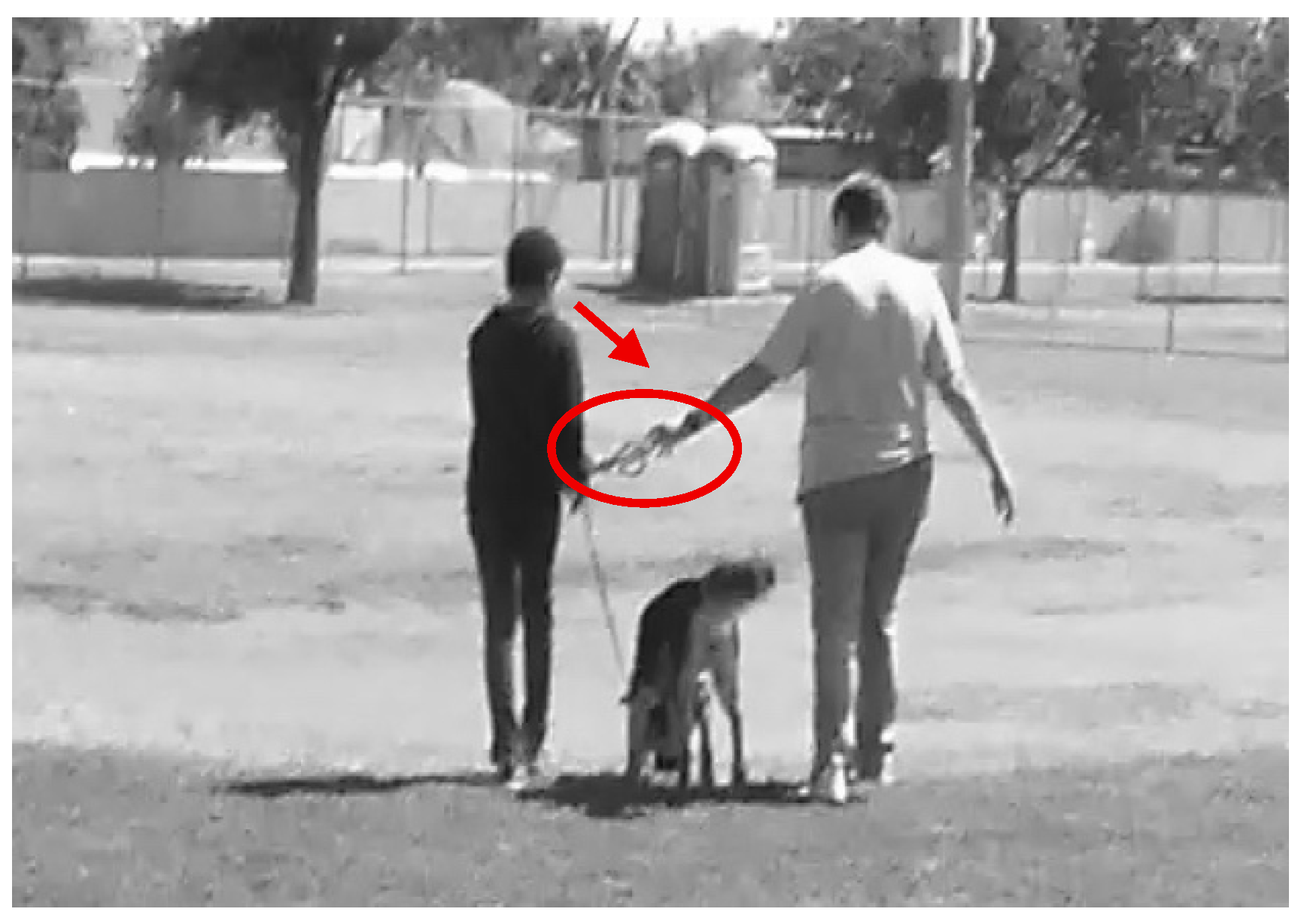 Behavsci 15 01585 g009