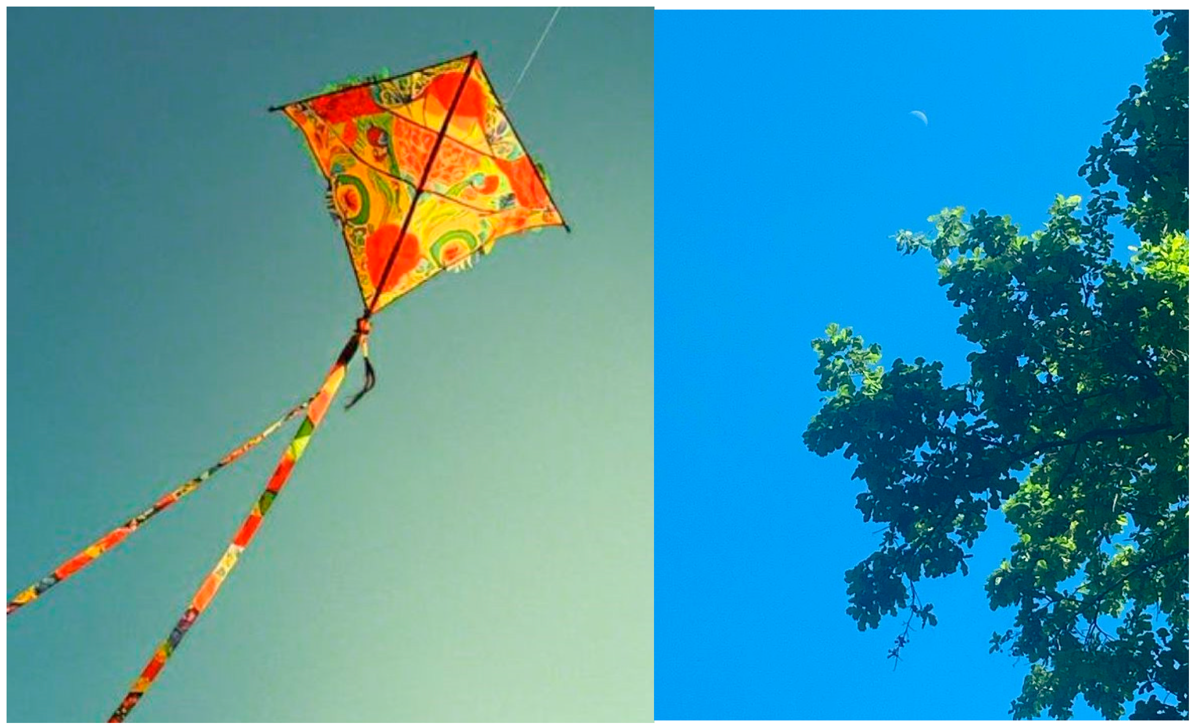 Behavsci 15 01675 g002