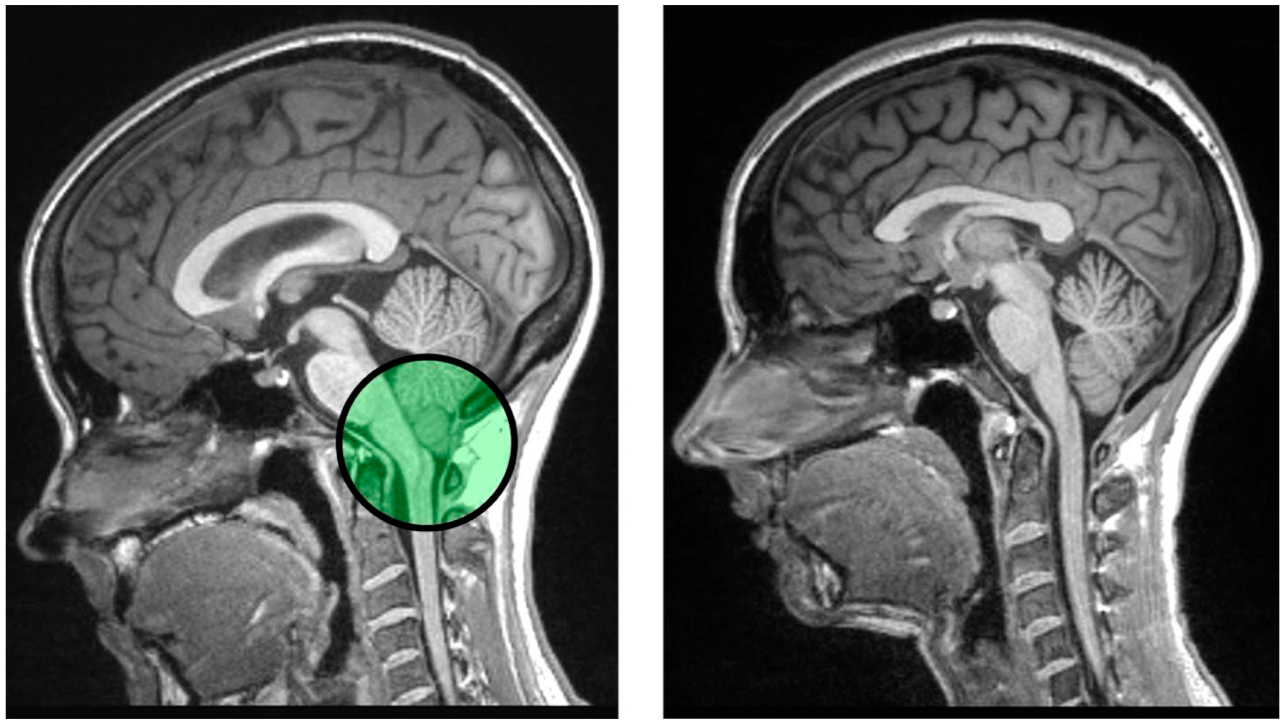 Behavsci 15 01678 g003 Behavsci 15 01678 g003