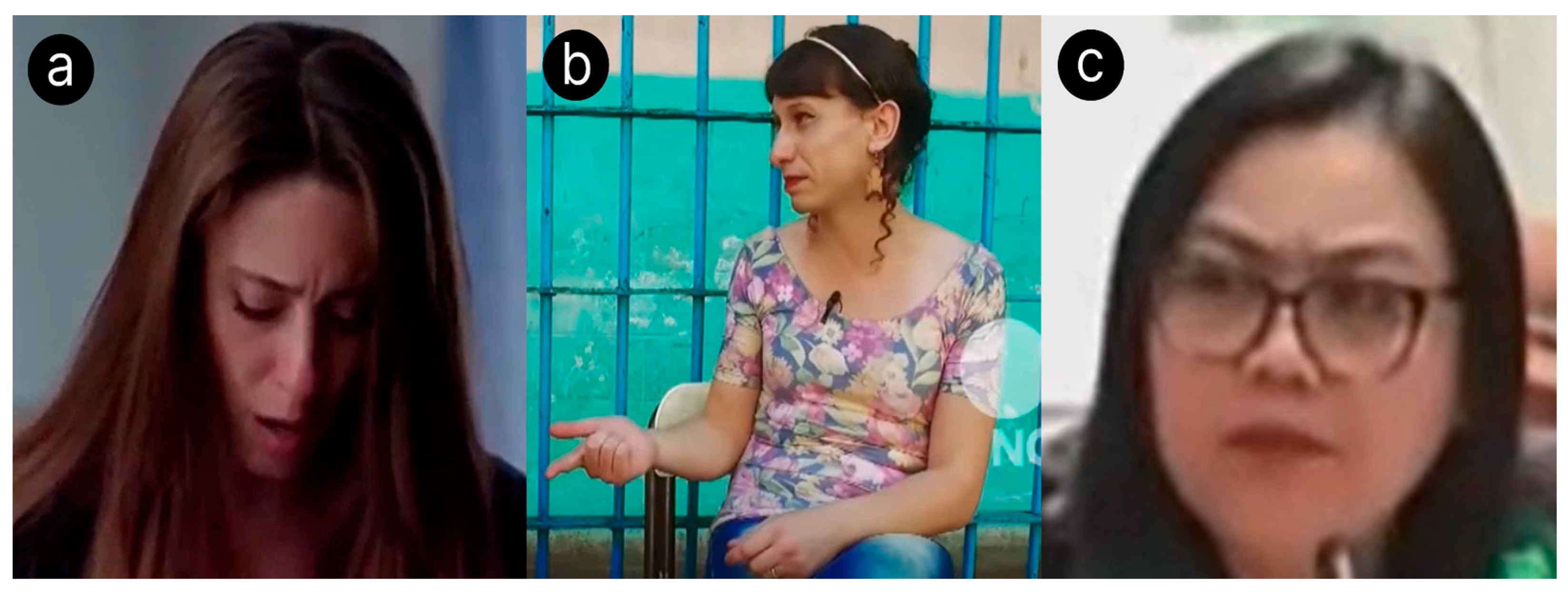 Behavsci 15 01707 g005