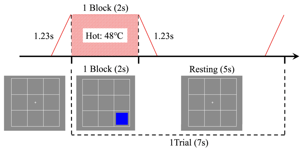 Behavsci 16 00701 g004