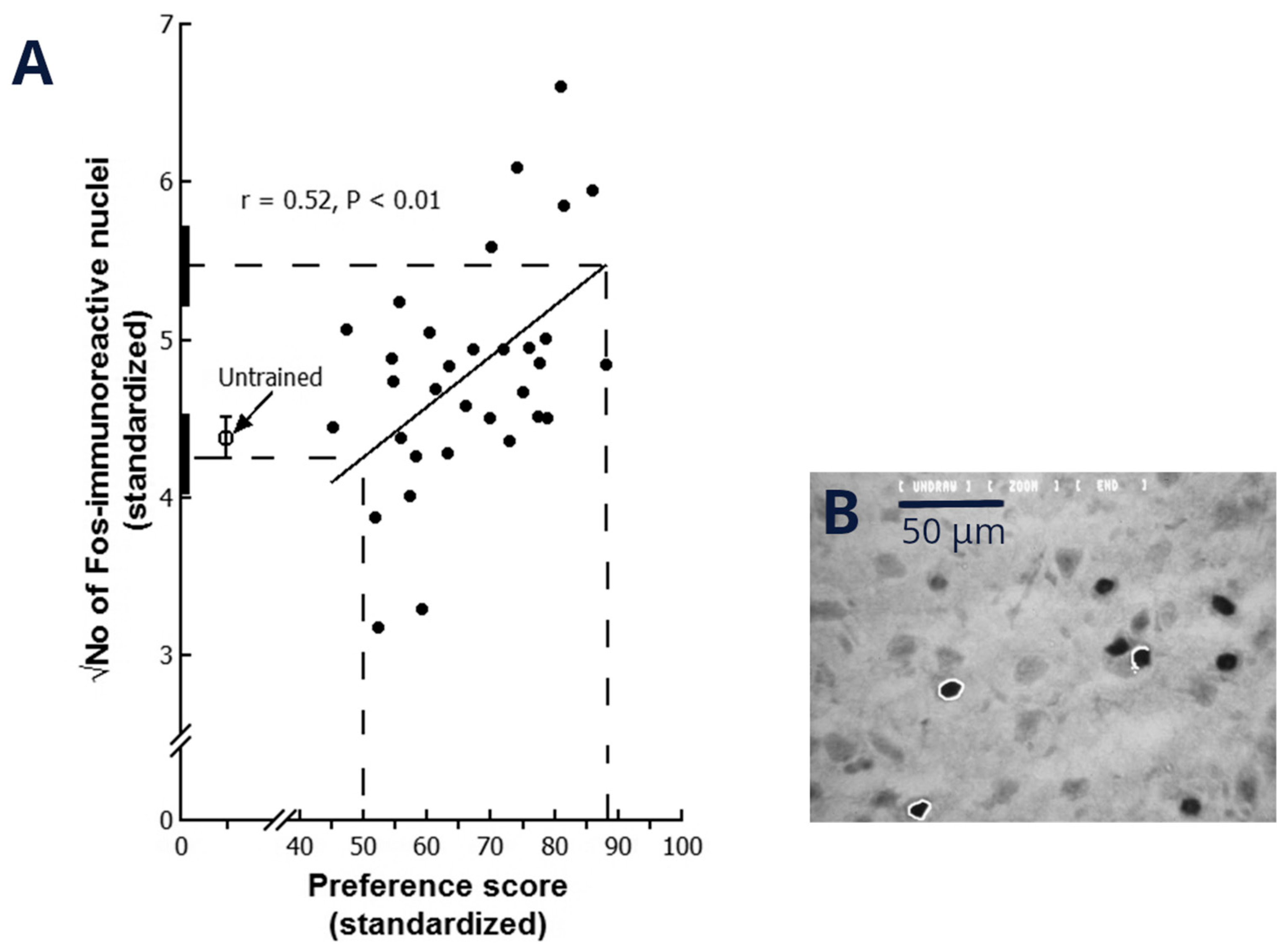 Behavsci 16 00741 g004