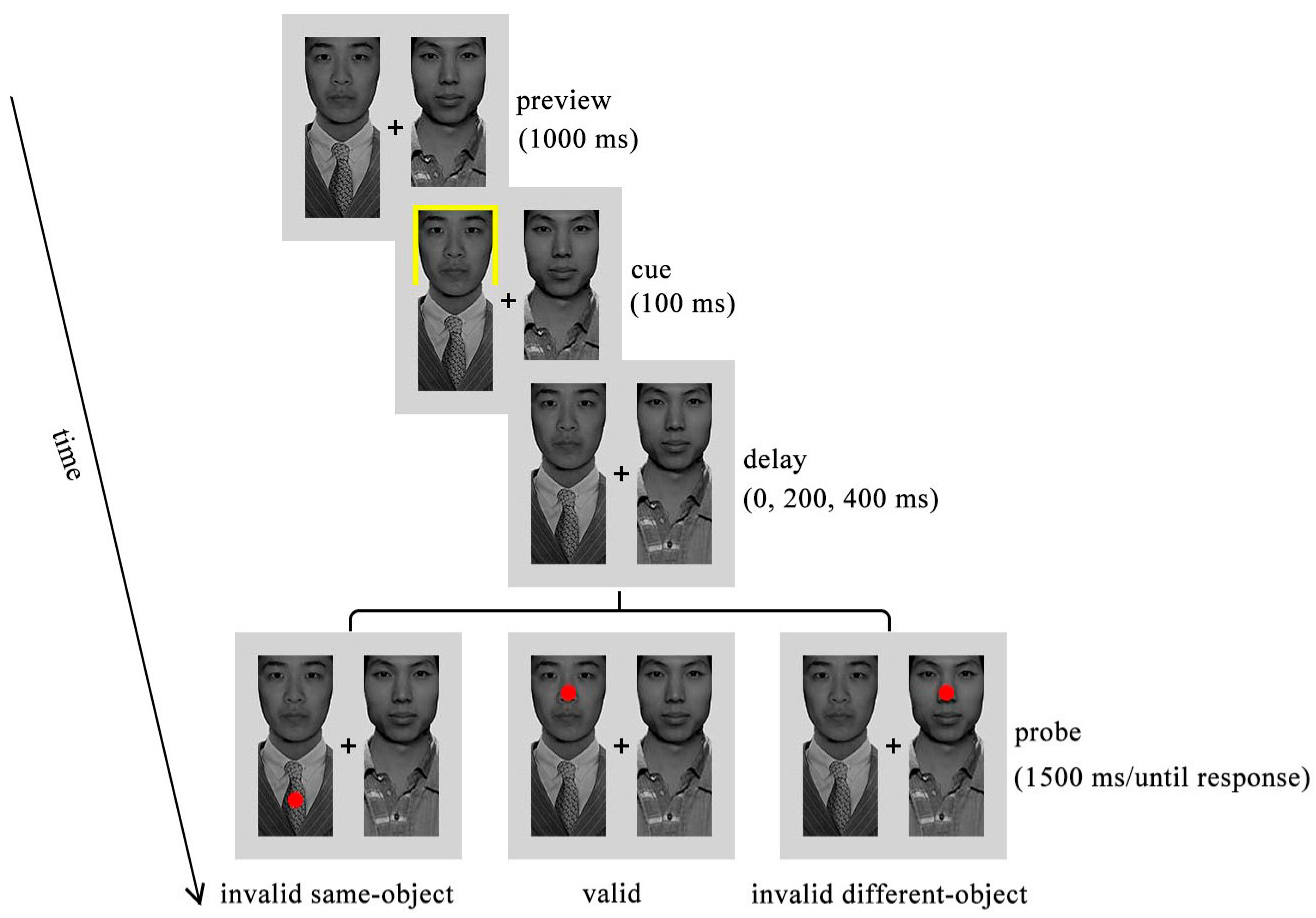 Behavsci 16 00807 g001