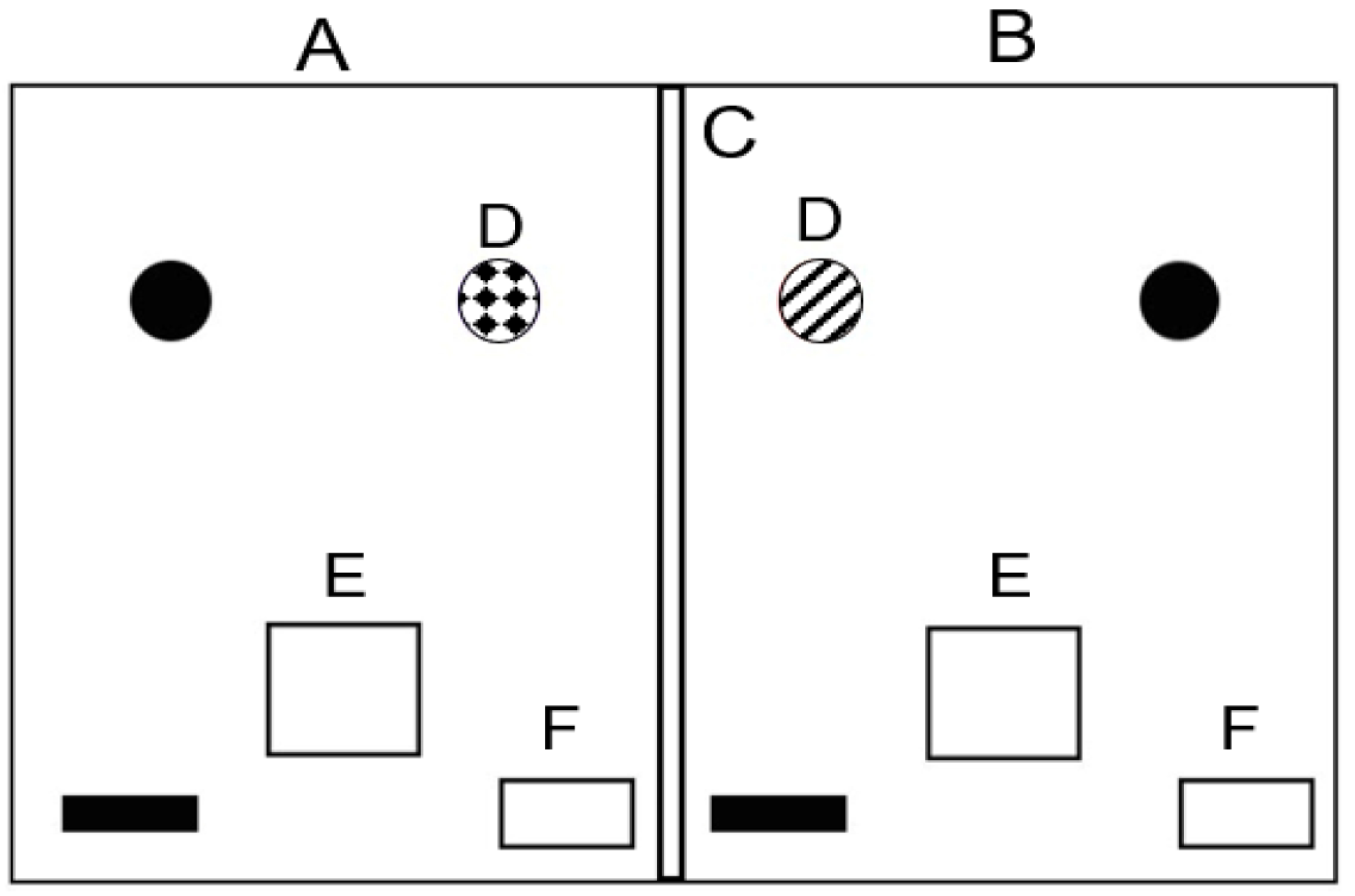 Behavsci 16 00967 g001