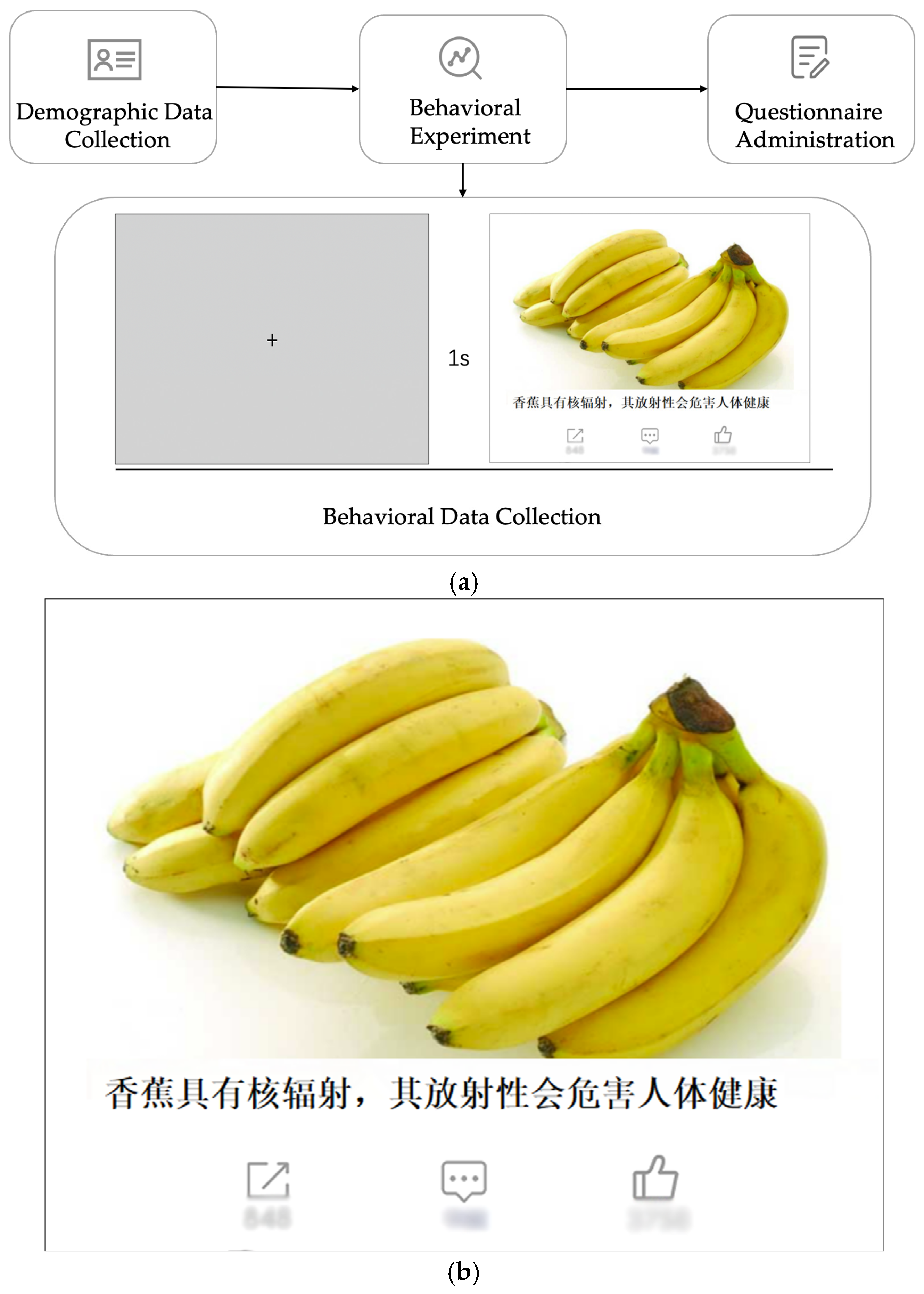 Behavsci 16 01112 g002