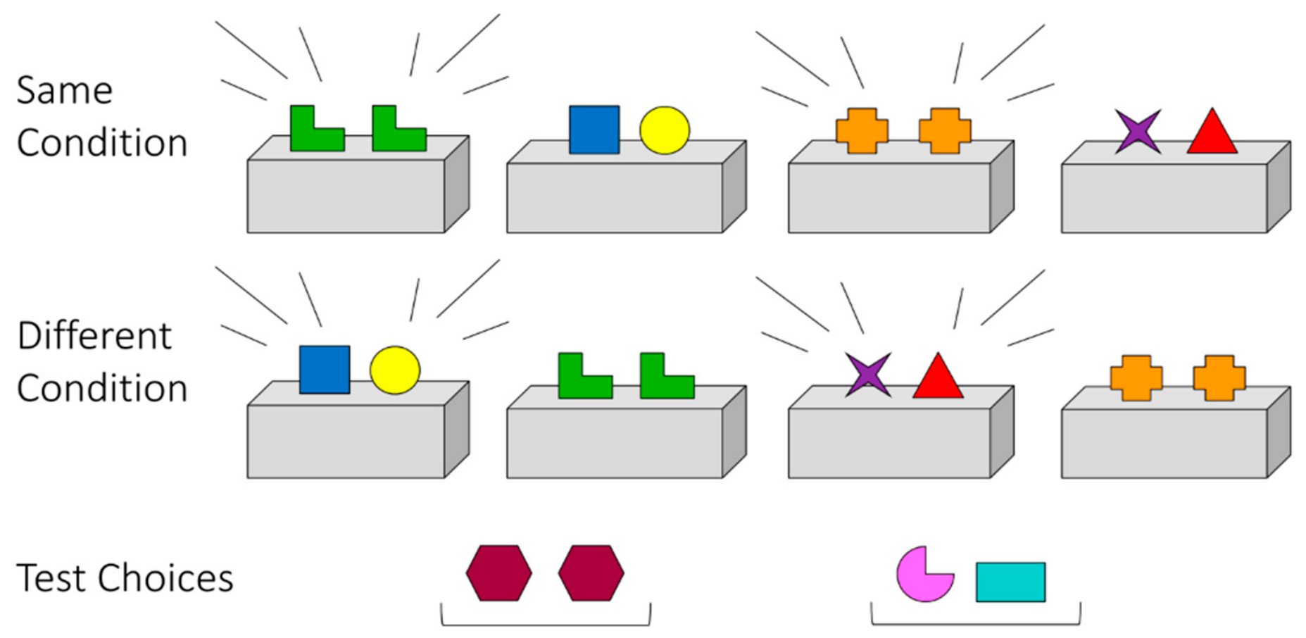 Behavsci 16 01406 g001 Behavsci 16 01406 g001