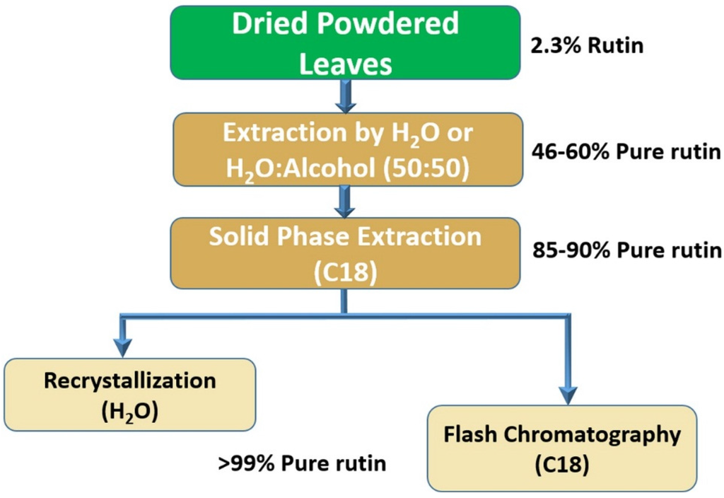 How Is Rutin Extract Processed And Purified?