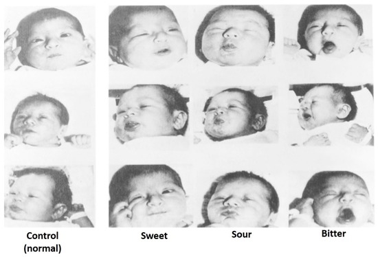 The responses of infants to different tastes.^[[Image](https://www.mdpi.com/2306-5710/2/4/29/htm) by [Alice Vilela](https://www.mdpi.com/search?authors=Alice%20Vilela&orcid=0000-0002-1615-2418) and [Fernanda Cosme](https://www.mdpi.com/search?authors=Fernanda%20Cosme&orcid=) is licensed under [CC BY 4.0](http://creativecommons.org/licenses/by/4.0/)]