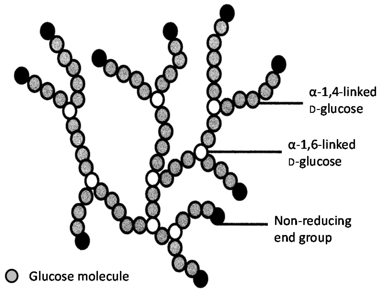 Beverages 02 00034 g012 550
