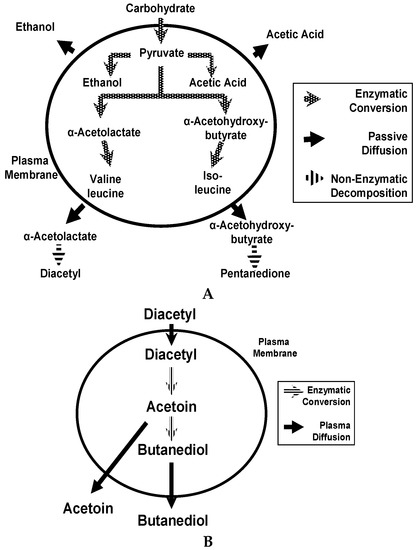 Beverages Special Issue Saccharomyces Cerevisiae