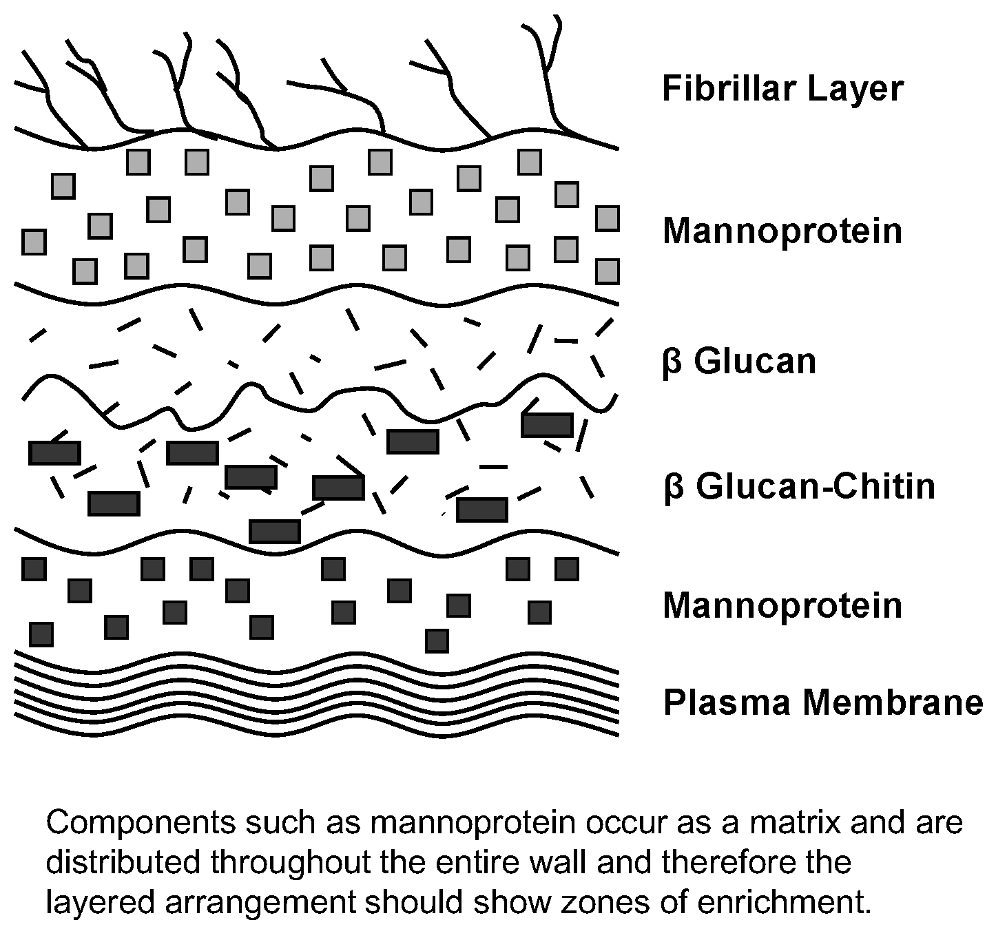 Beverages 02 00034 g018 550