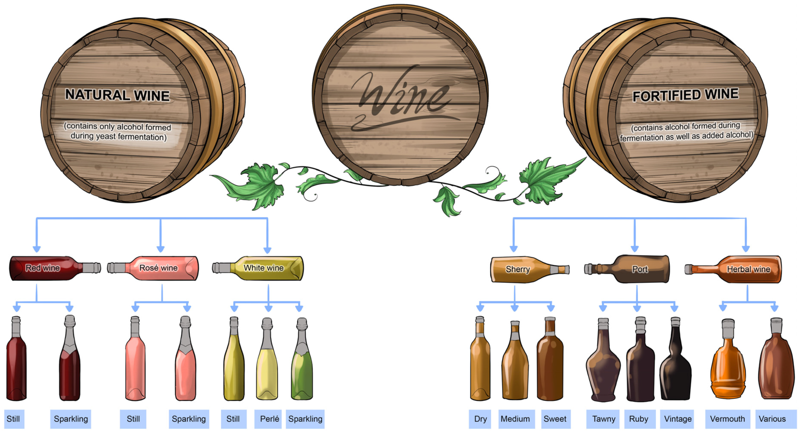Beverages Free FullText Conducting Wine Symphonics with the Aid of