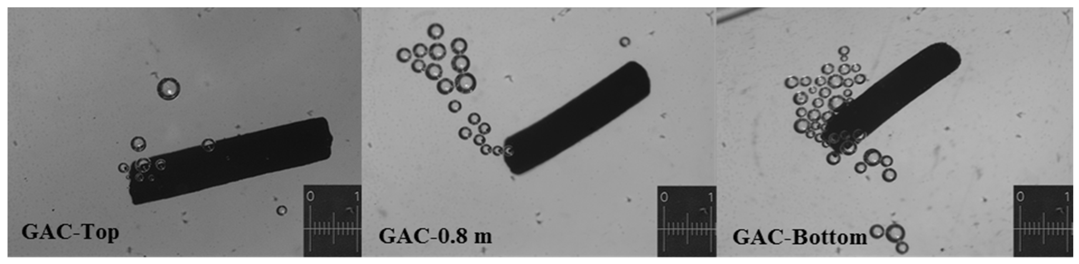 Beverages 03 00012 g010 550