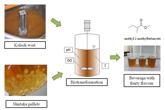 Non Ethanol Gas >> Beverages | Free Full-Text | Process Parameters Affecting ... Non Ethanol Gas >> Beverages | Free Full-Text | Process Parameters Affecting ...