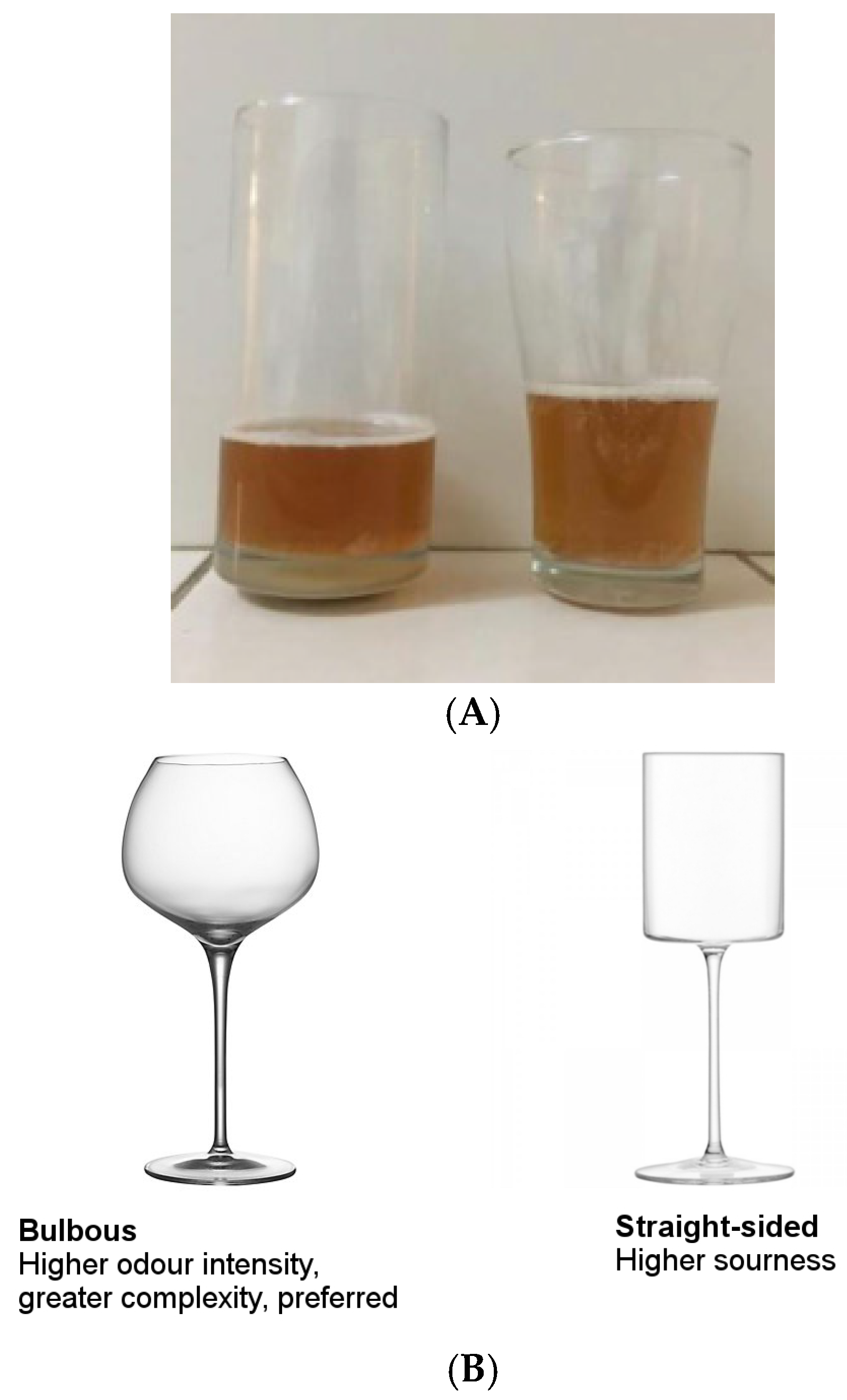 How Your Wine Glass Shape Affects Taste